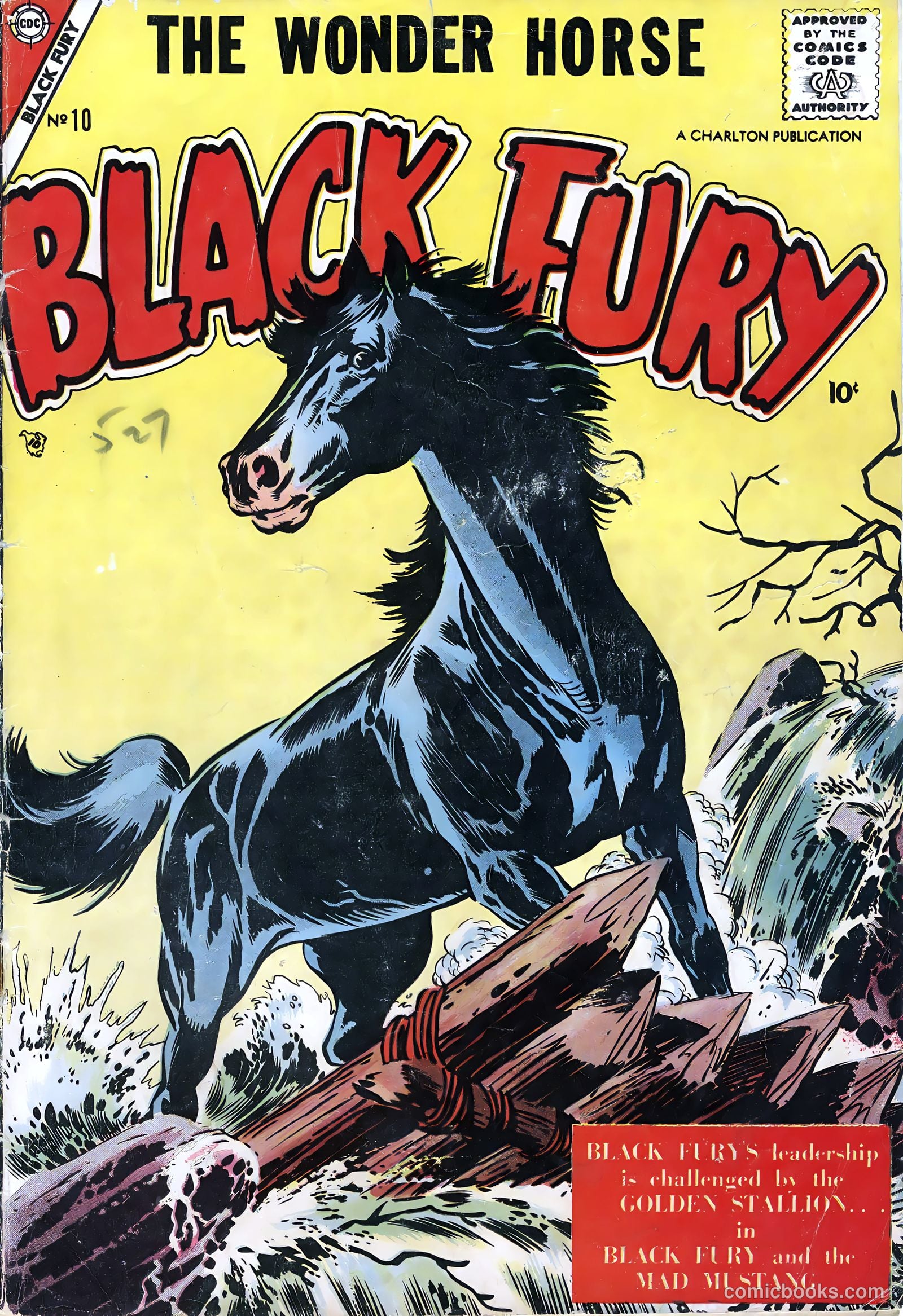 Black Fury #10