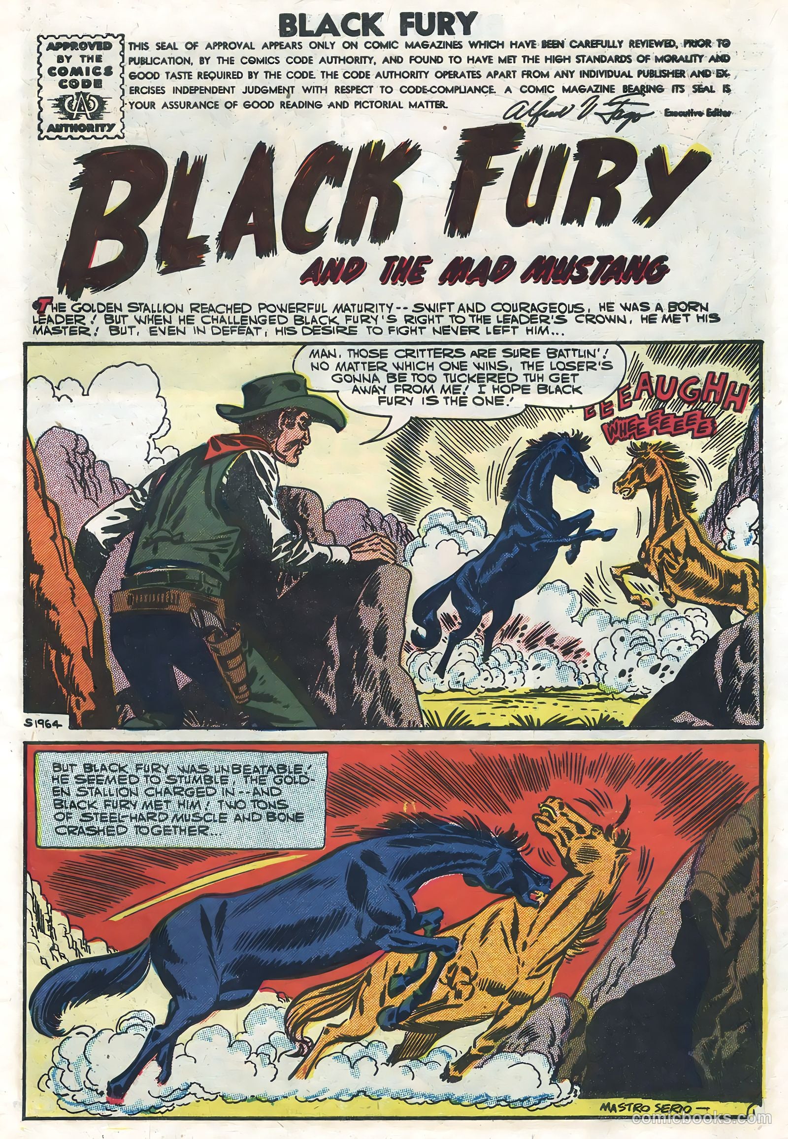Black Fury #10 (1957) — page 3 of 36