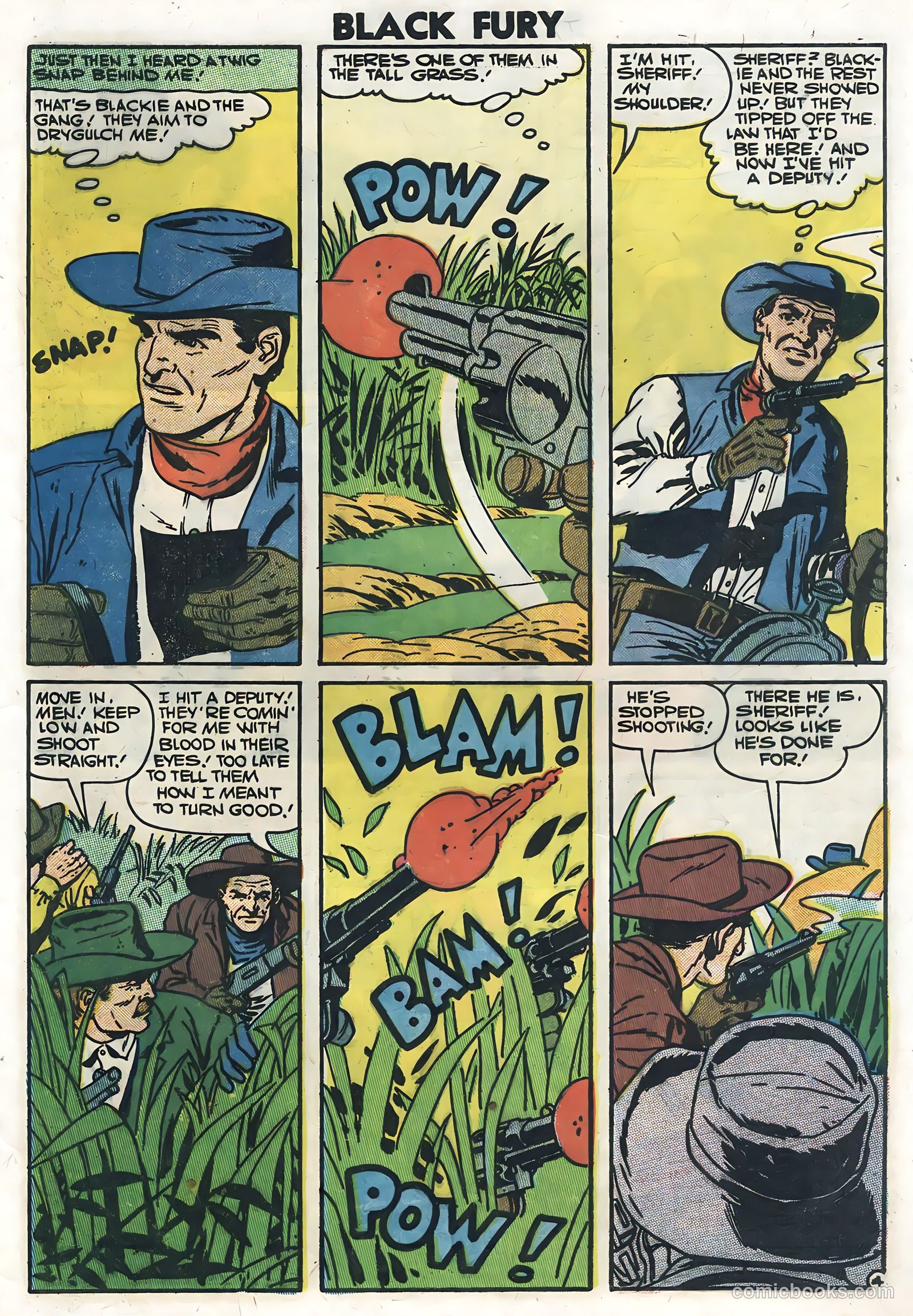 Black Fury #10 (1957) — page 29 of 36