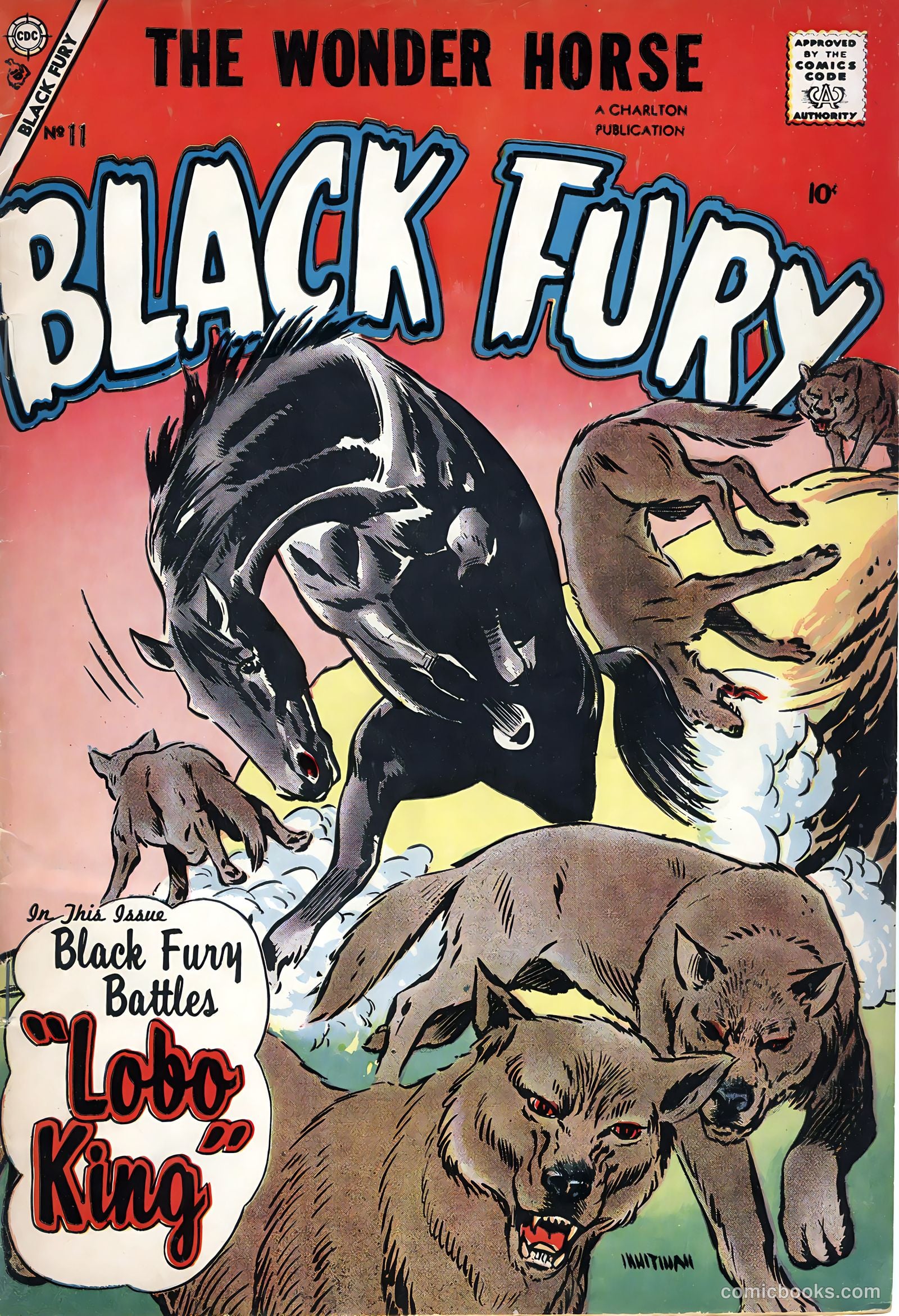 Black Fury #11