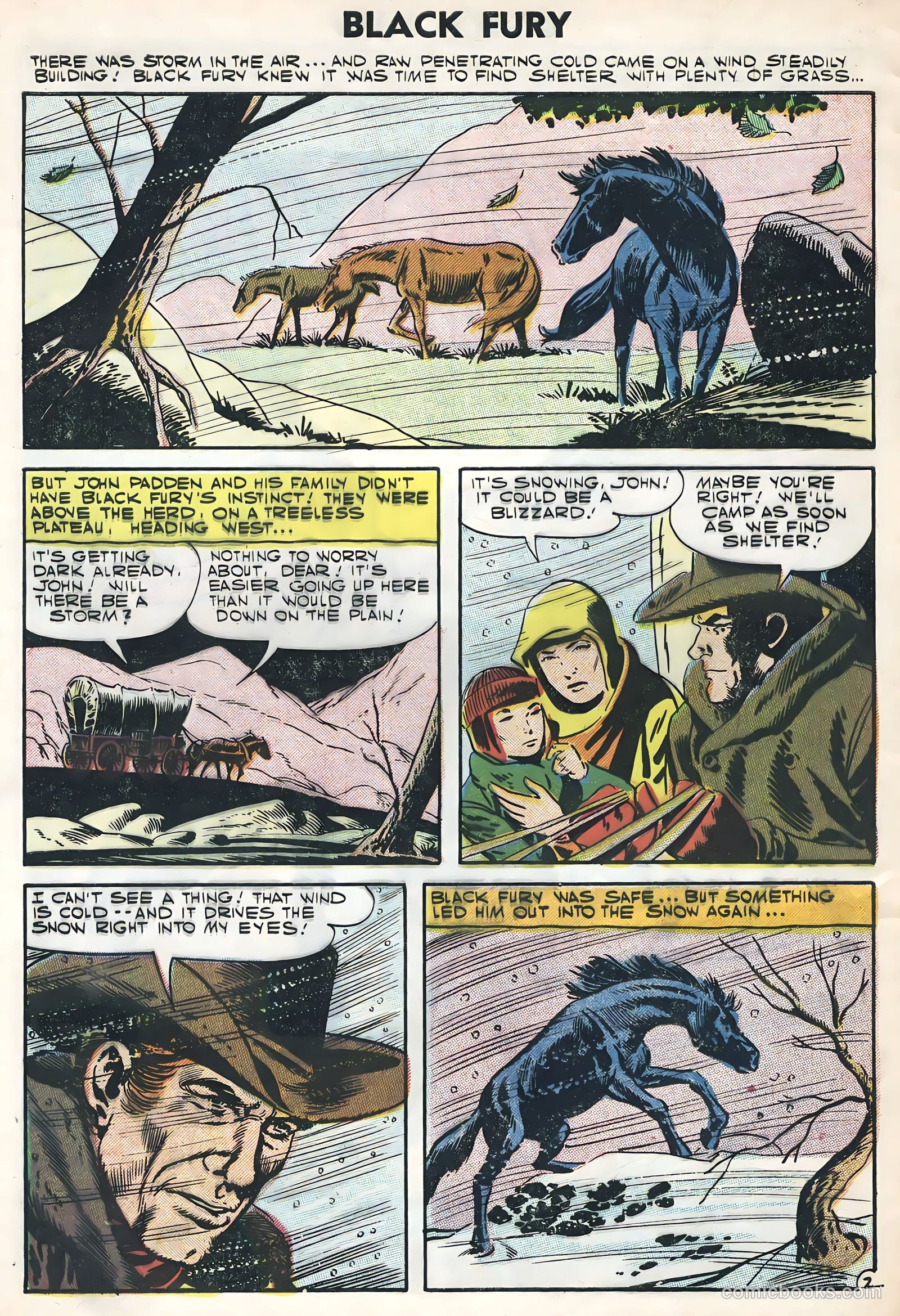 Black Fury #11 (1957) — page 4 of 36