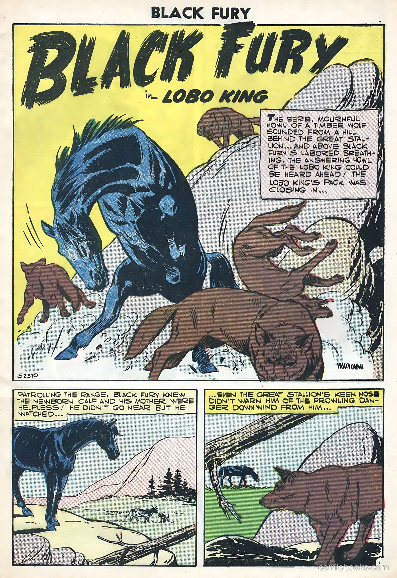 Black Fury #11 (1957) — page 9 of 36