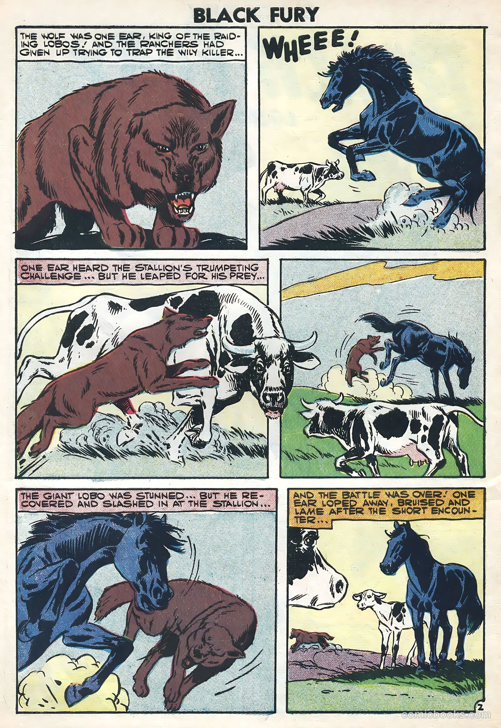 Black Fury #11 (1957) — page 10 of 36