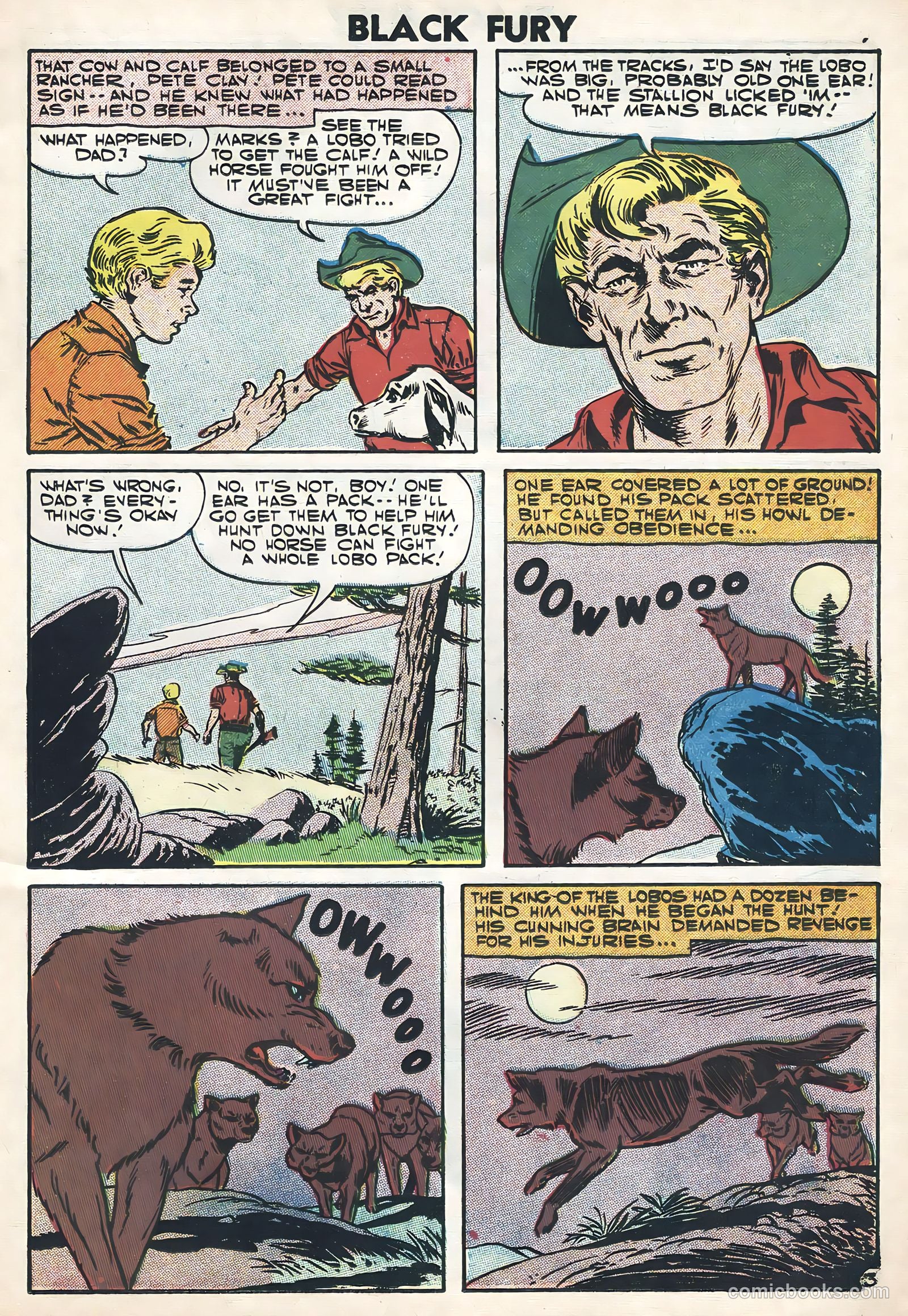 Black Fury #11 (1957) — page 11 of 36