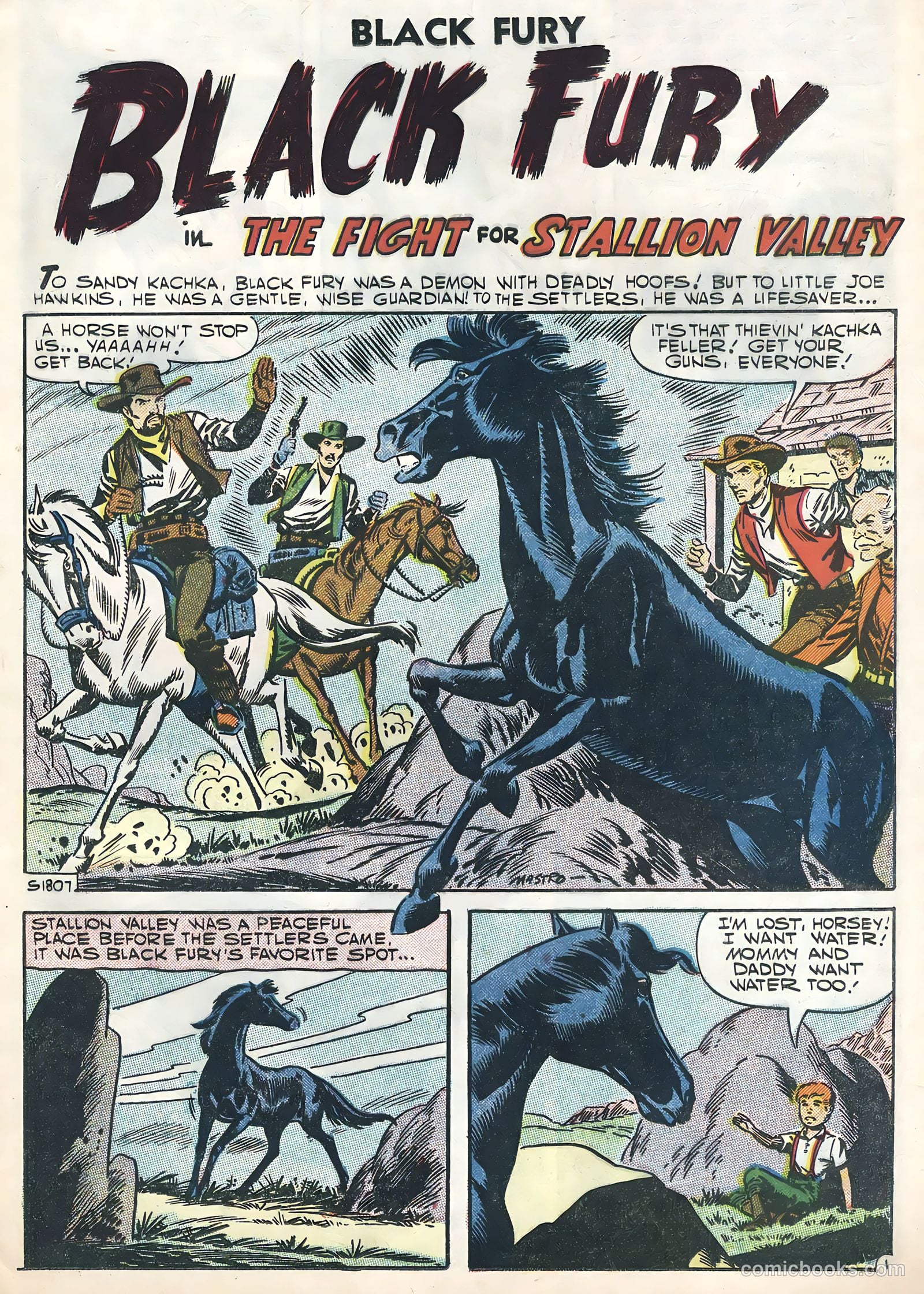 Black Fury #11 (1957) — page 25 of 36