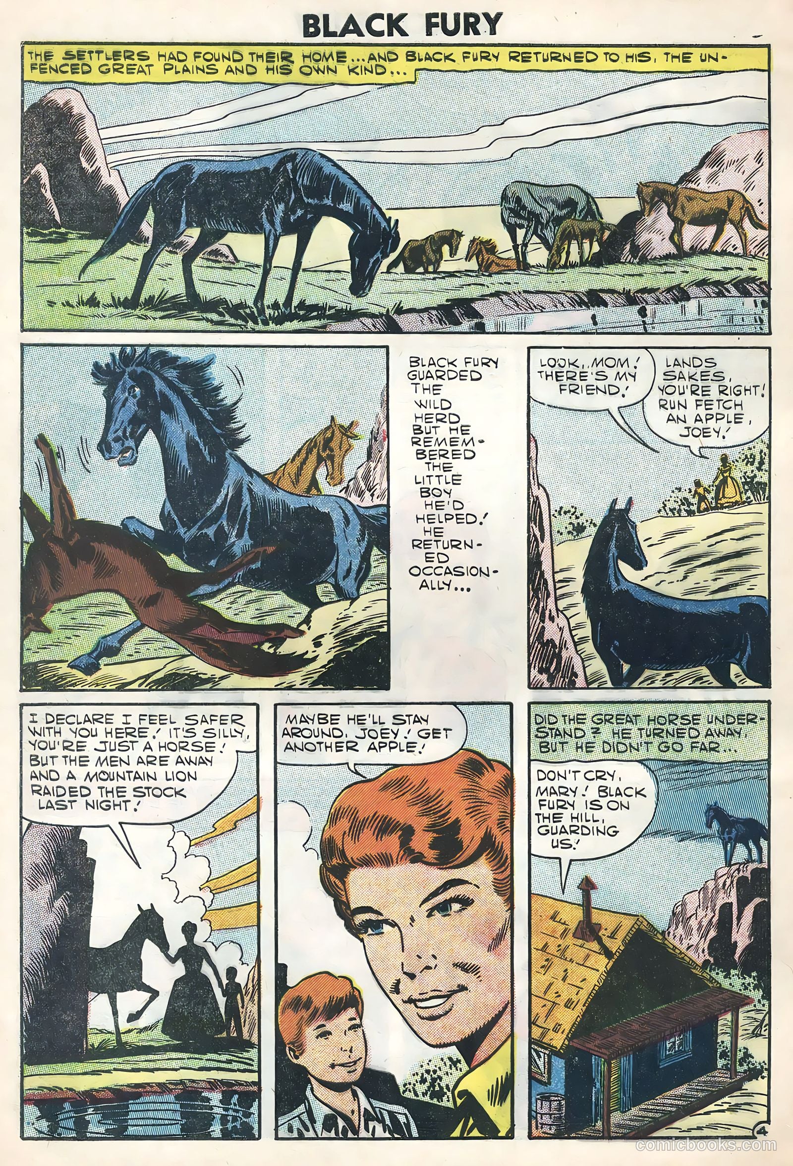 Black Fury #11 (1957) — page 28 of 36