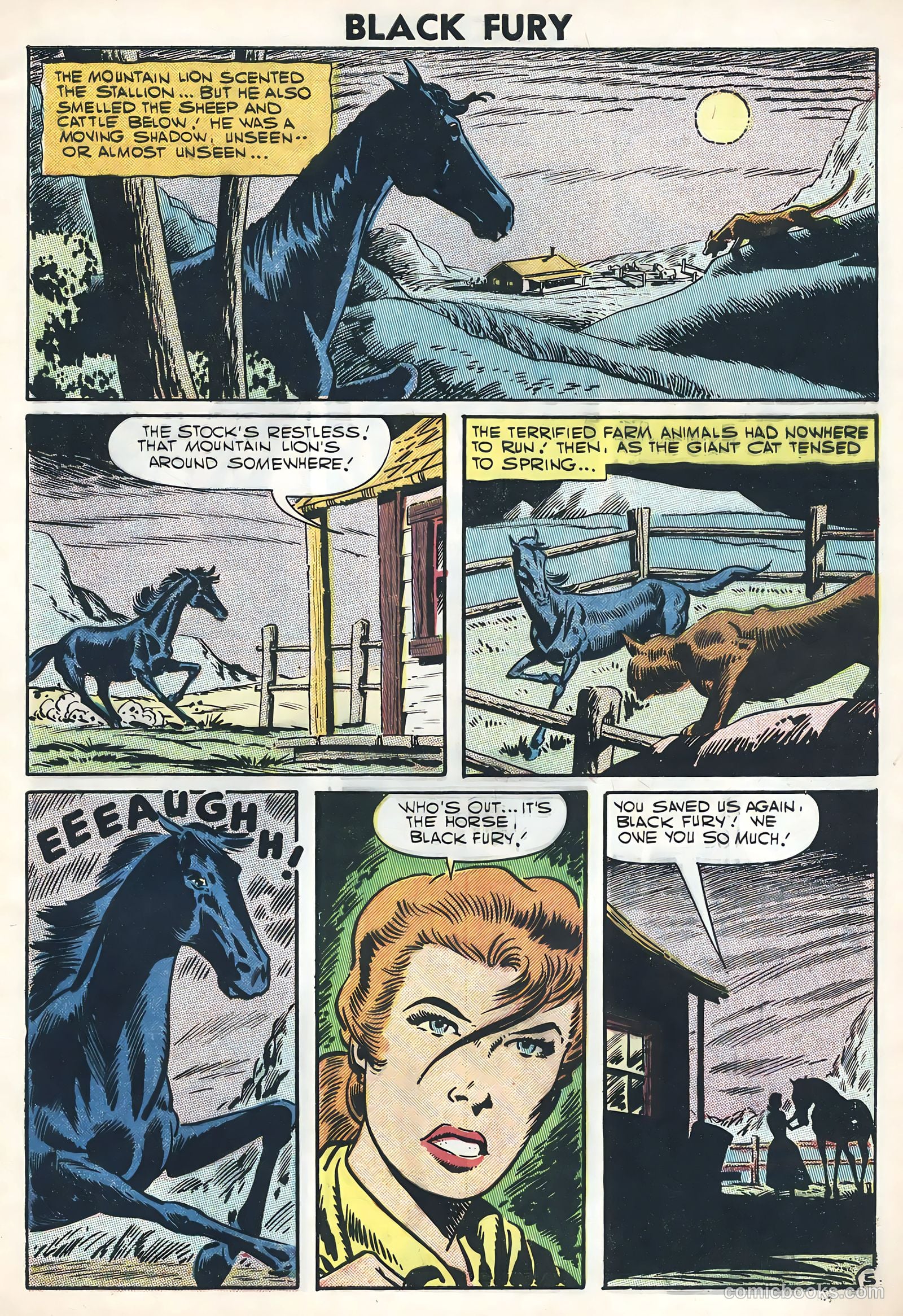 Black Fury #11 (1957) — page 29 of 36