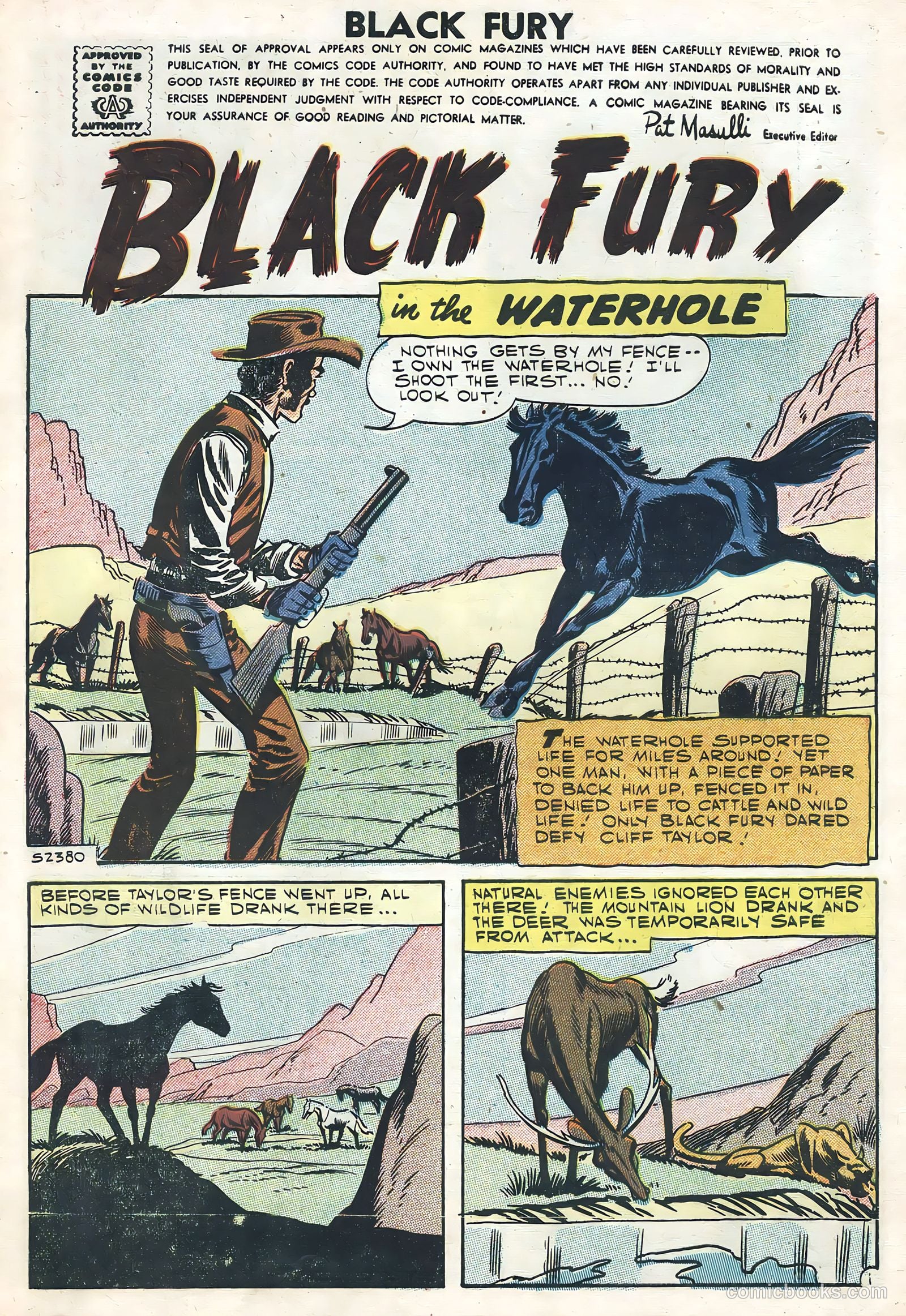 Black Fury #12 (1958) — page 3 of 36
