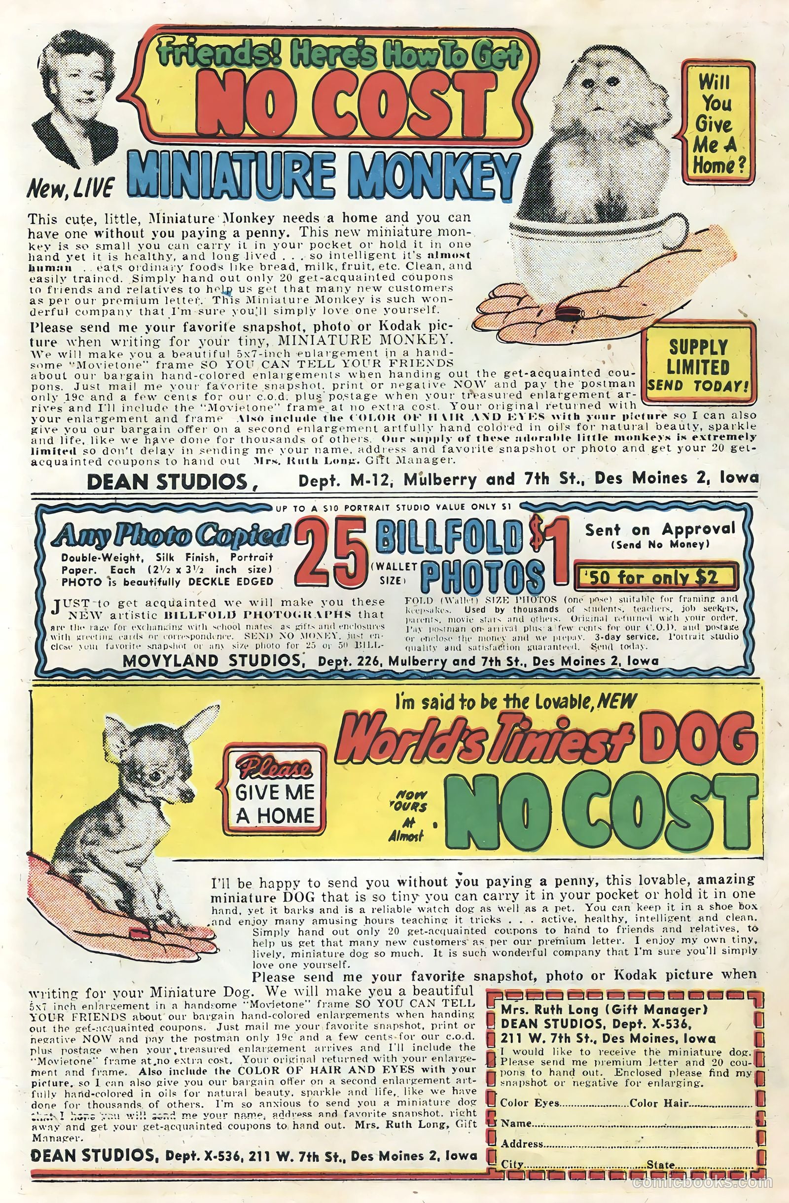 Black Fury #12 (1958) — page 34 of 36