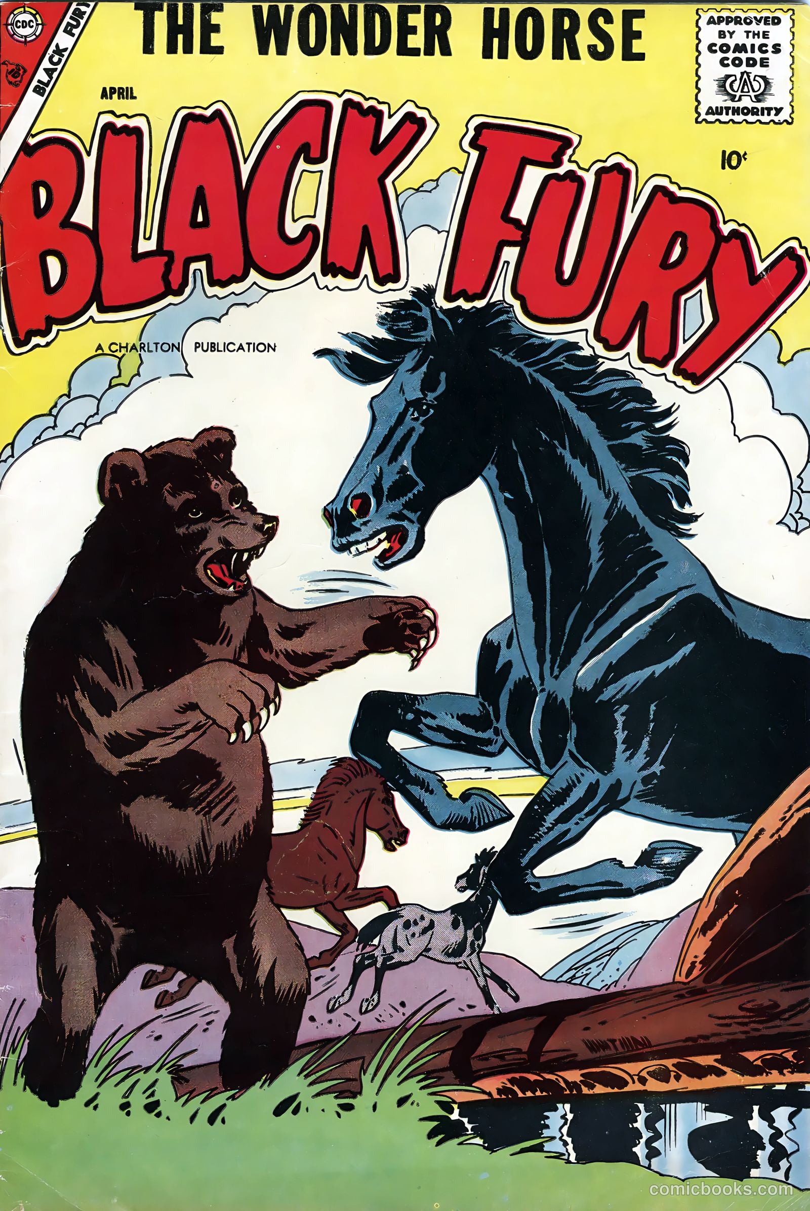 Black Fury #13