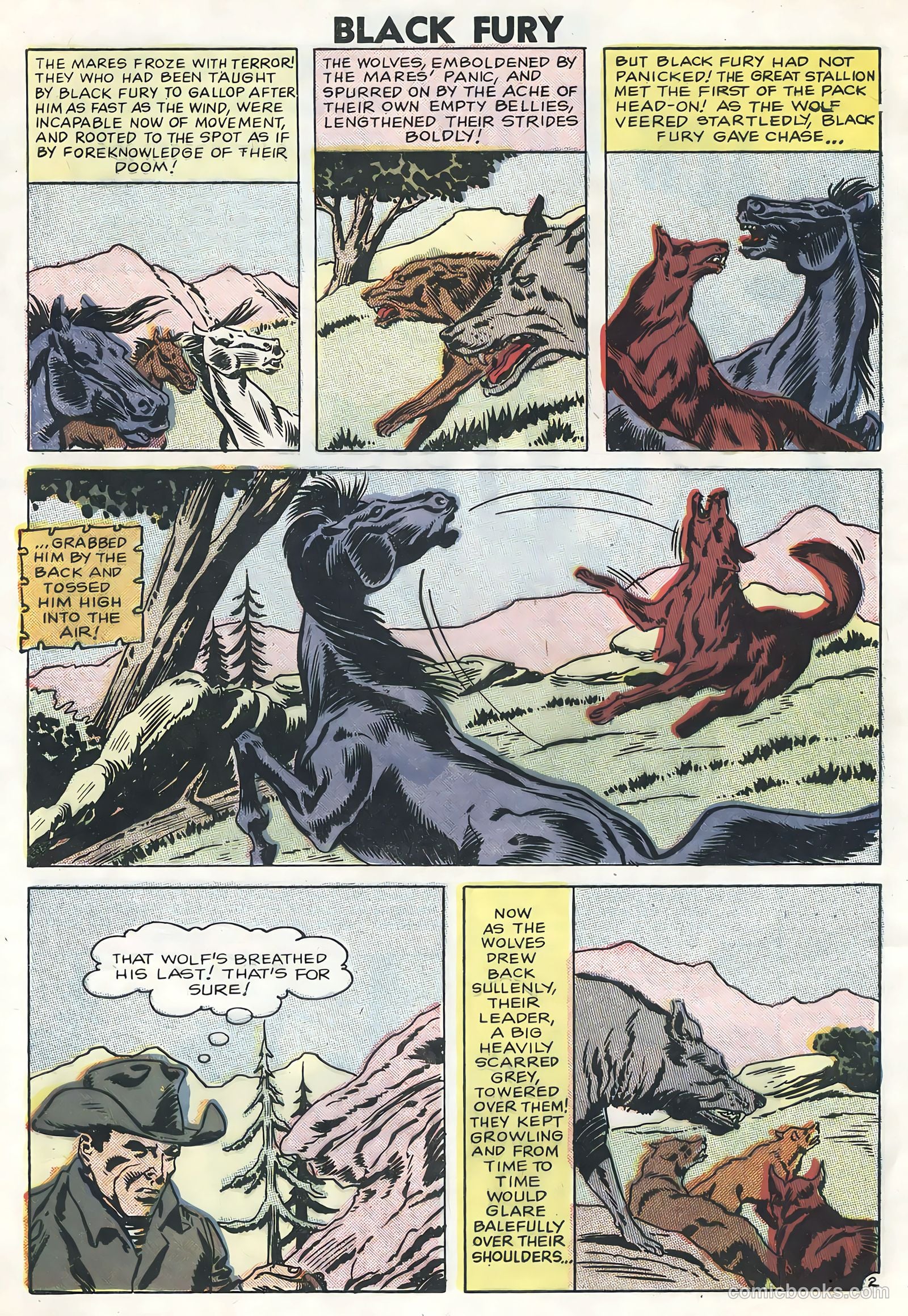 Black Fury #13 (1958) — page 4 of 36
