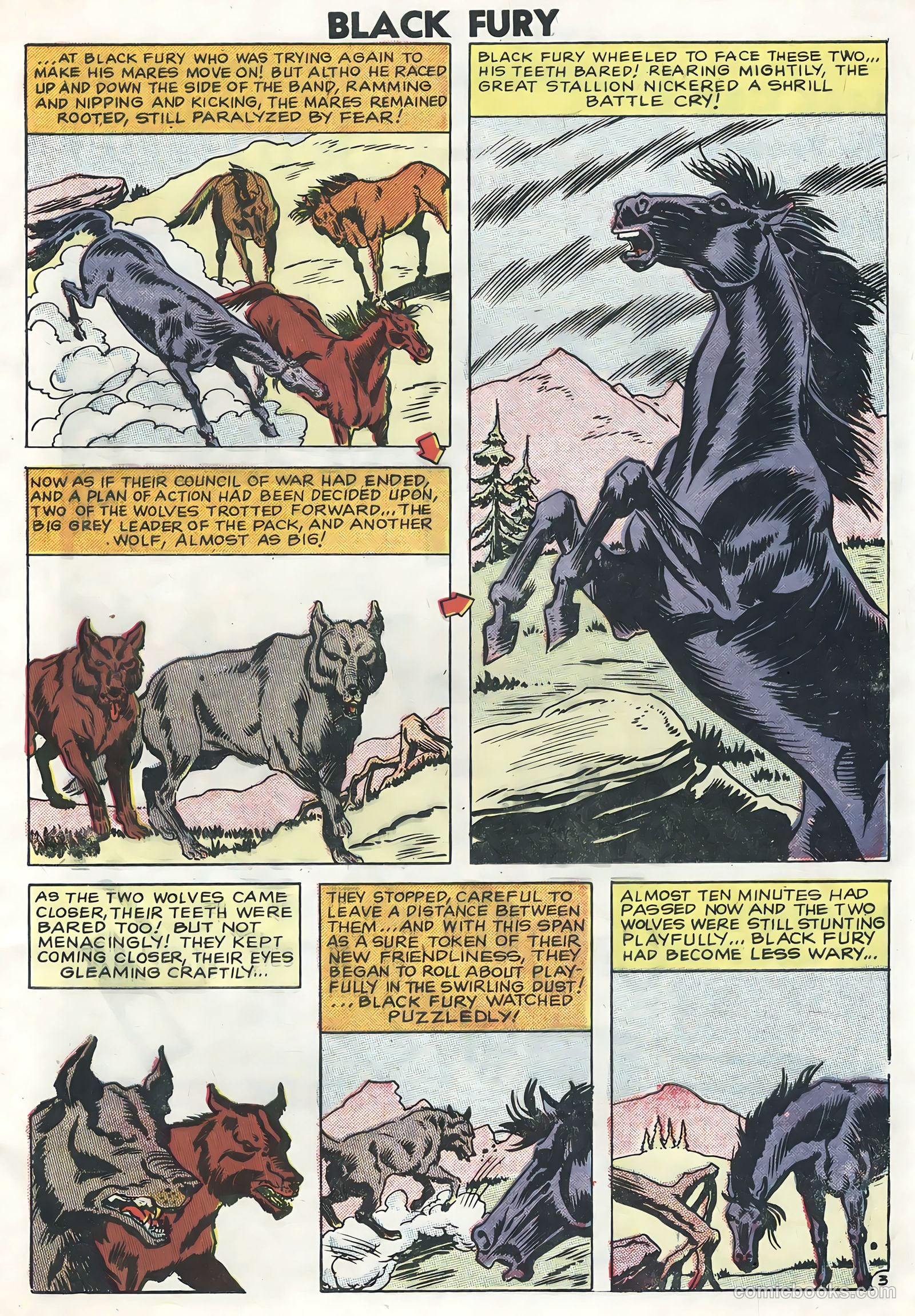 Black Fury #13 (1958) — page 5 of 36