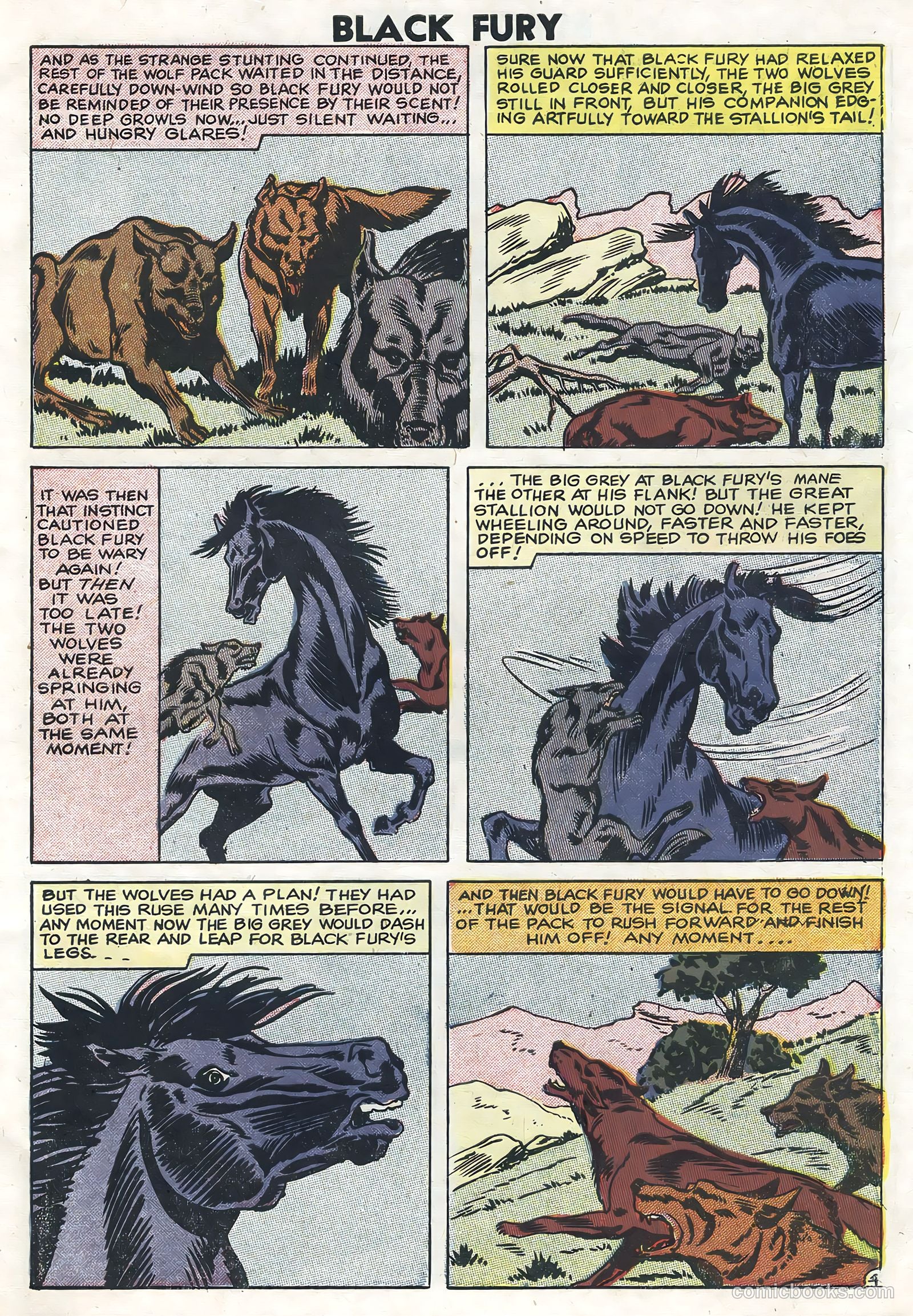 Black Fury #13 (1958) — page 7 of 36