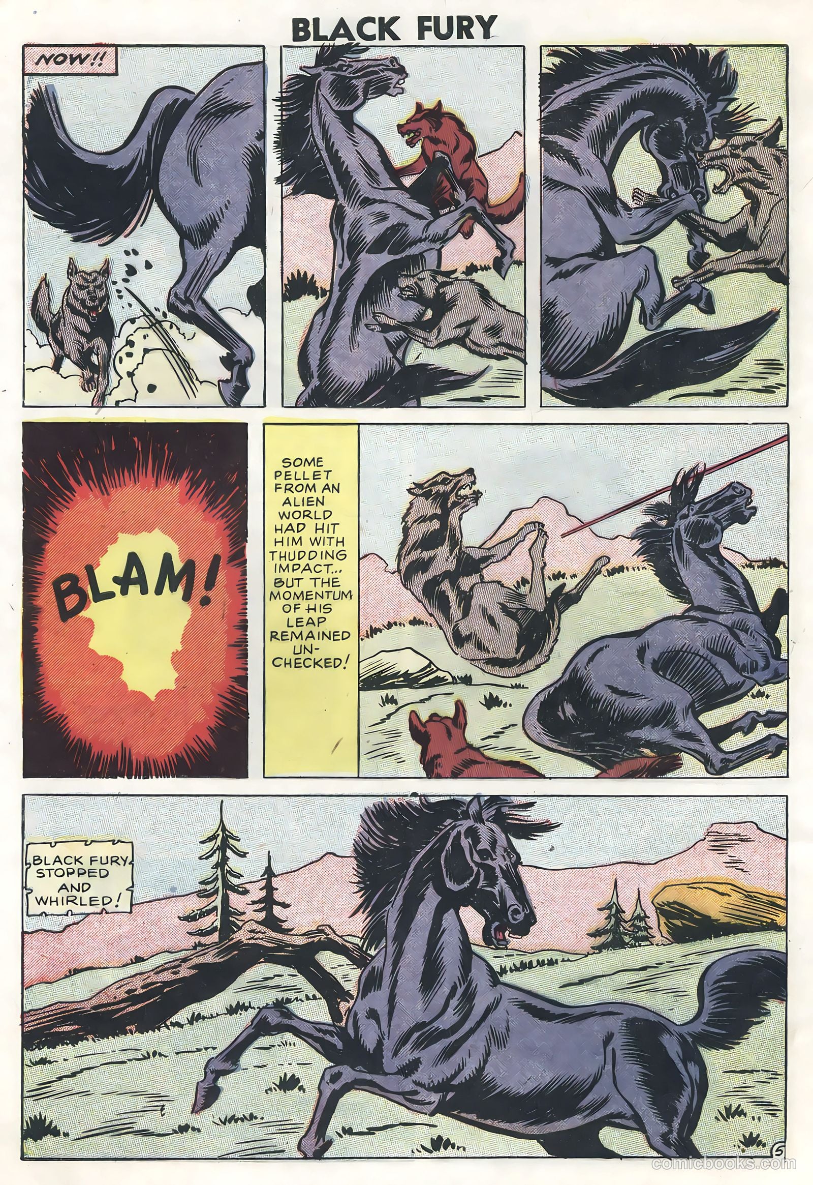 Black Fury #13 (1958) — page 8 of 36