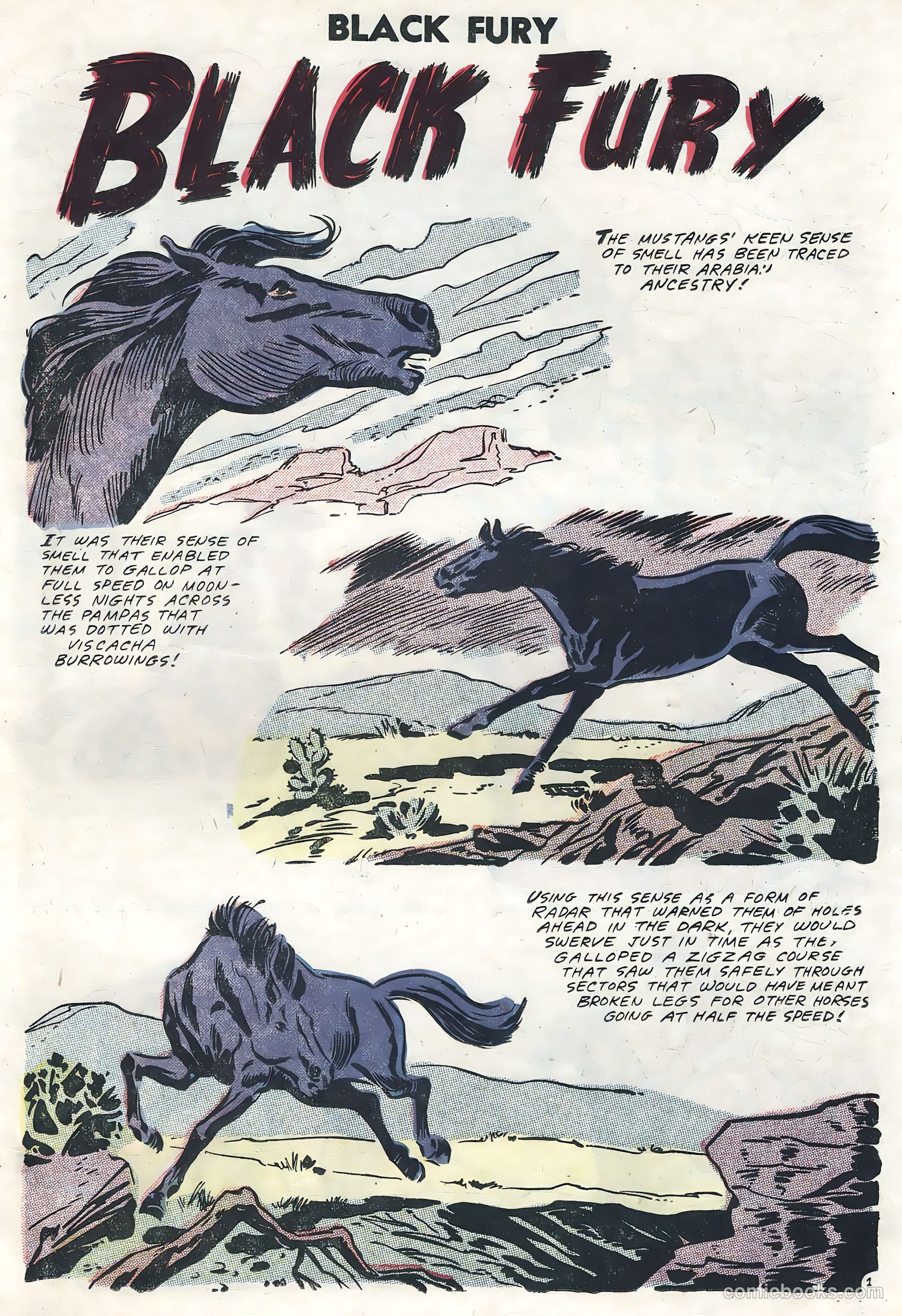 Black Fury #13 (1958) — page 19 of 36