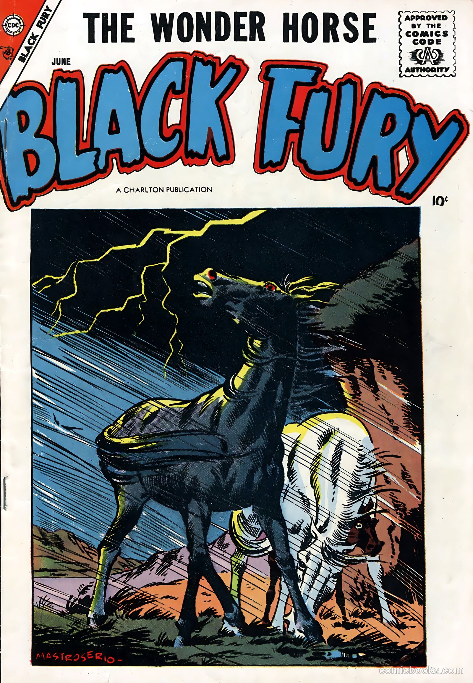 Black Fury #14