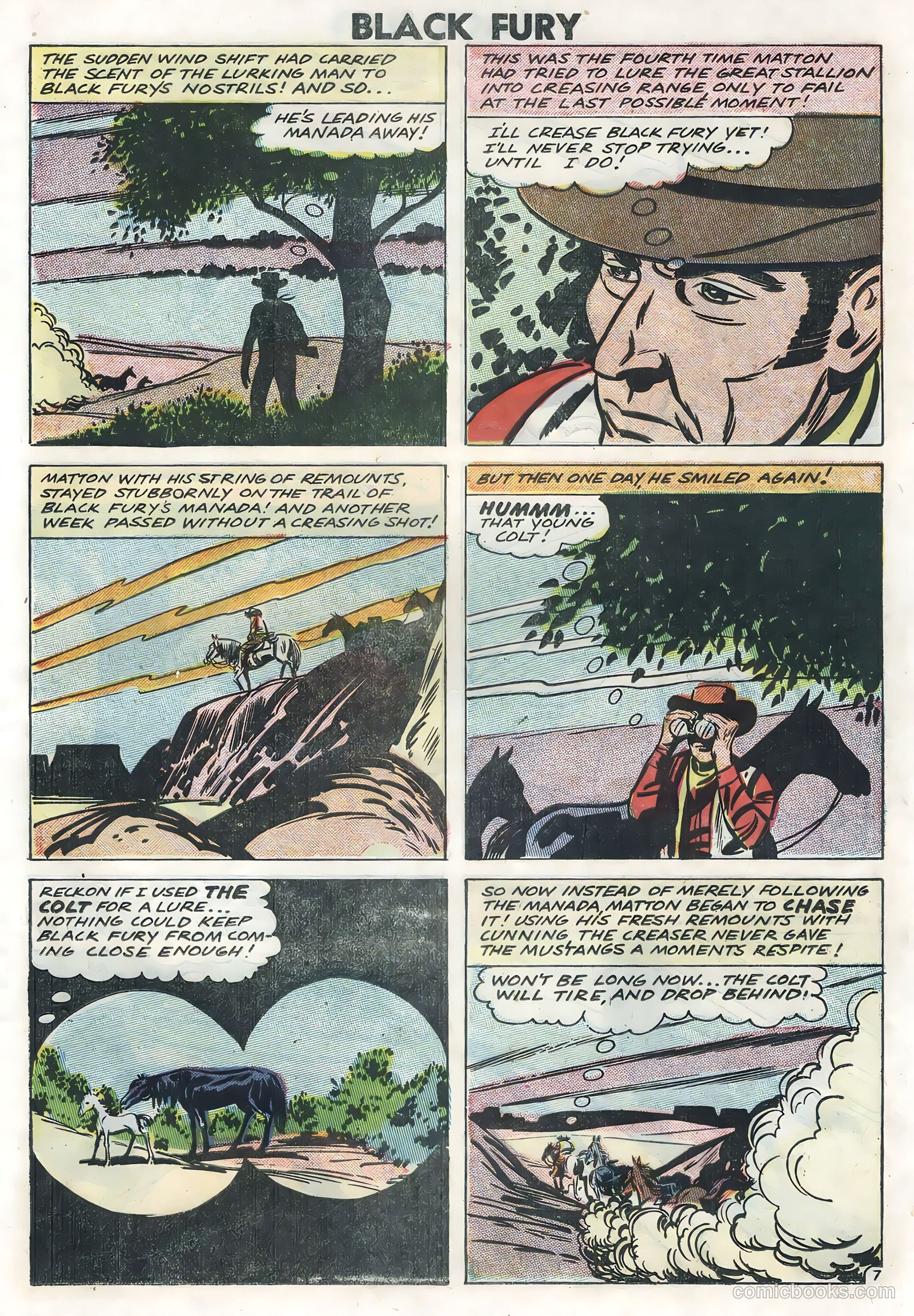 Black Fury #14 (1958) — page 19 of 36