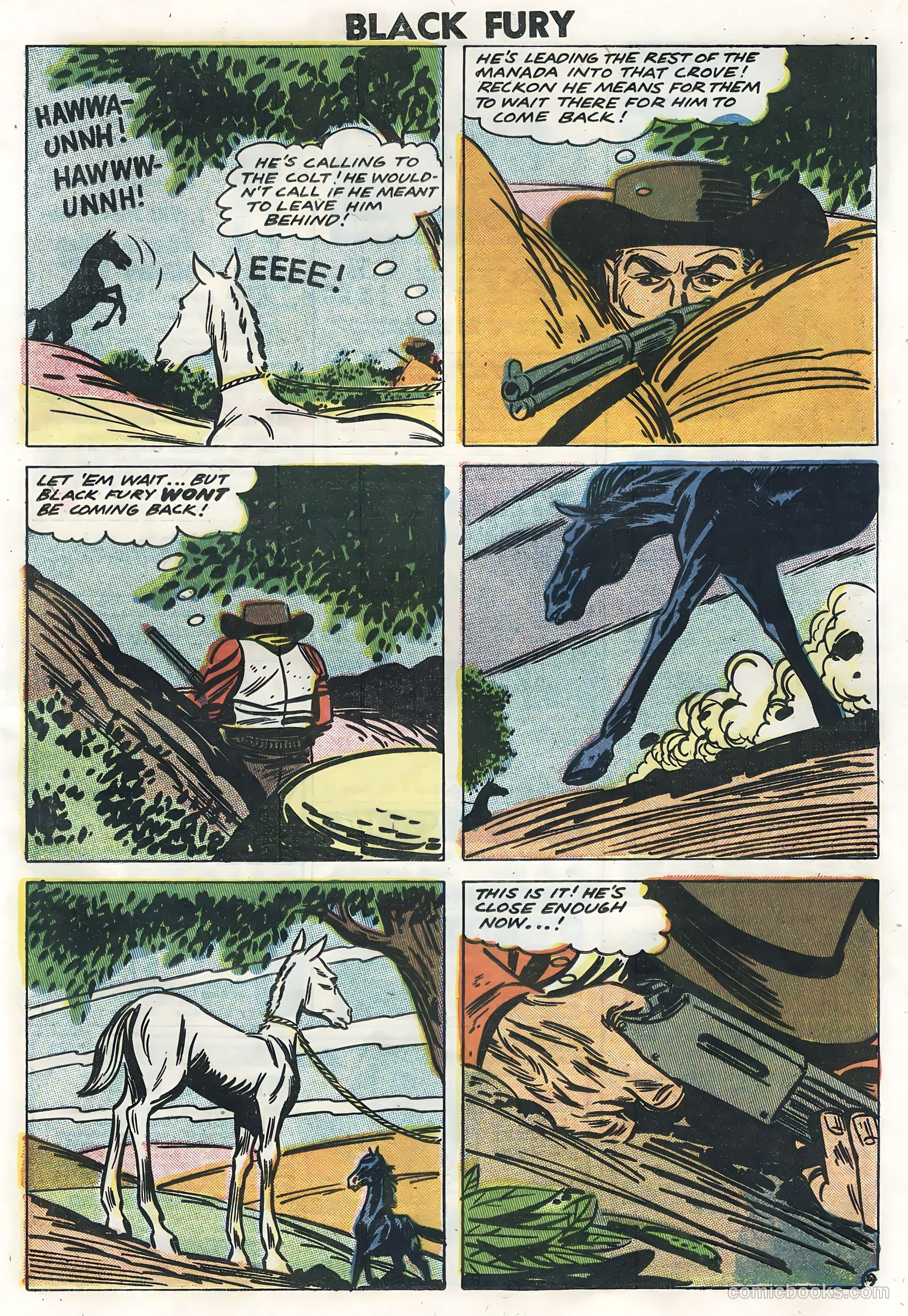 Black Fury #14 (1958) — page 21 of 36