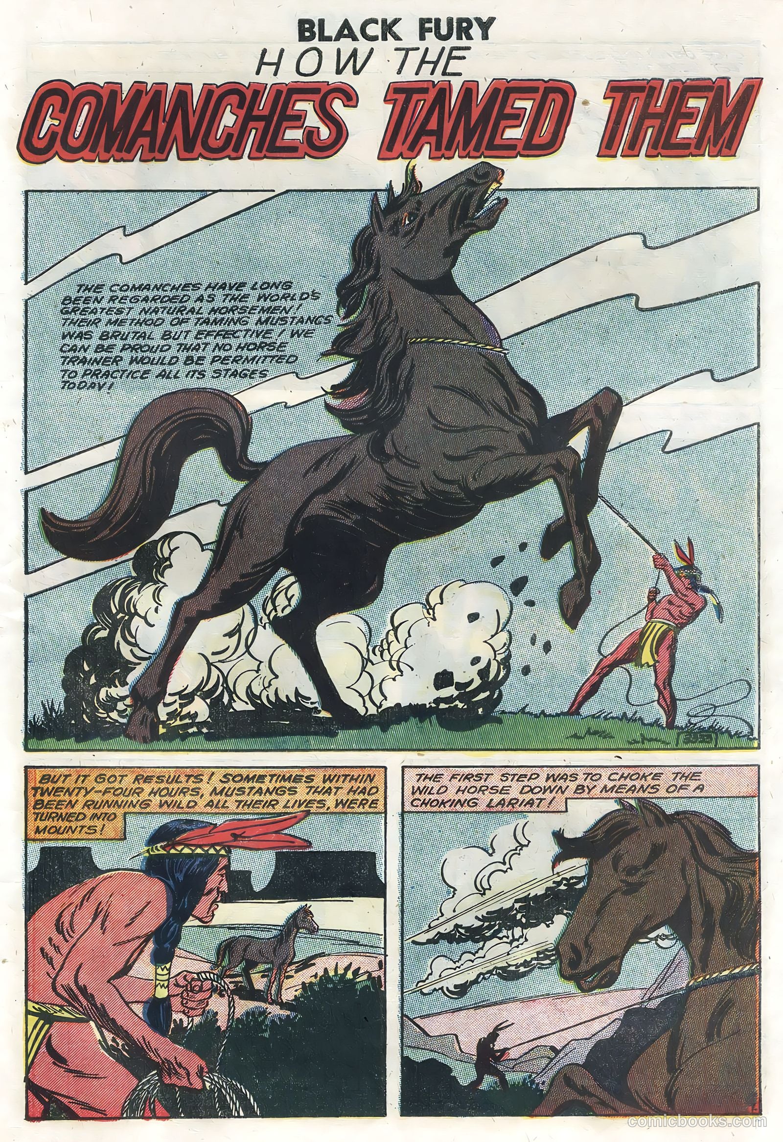 Black Fury #14 (1958) — page 27 of 36