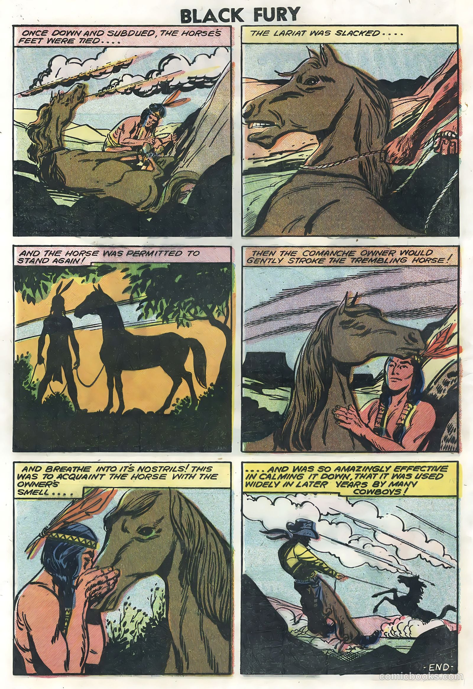 Black Fury #14 (1958) — page 28 of 36