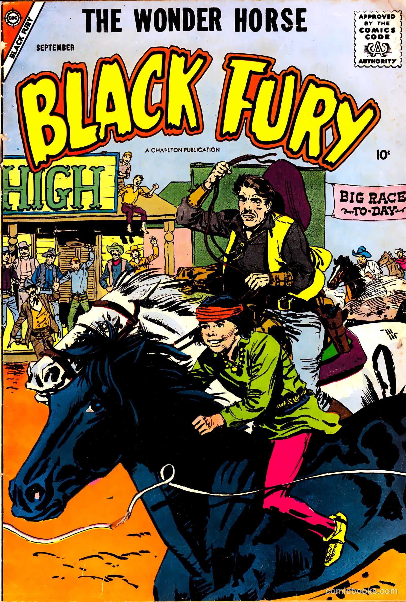 Black Fury #15