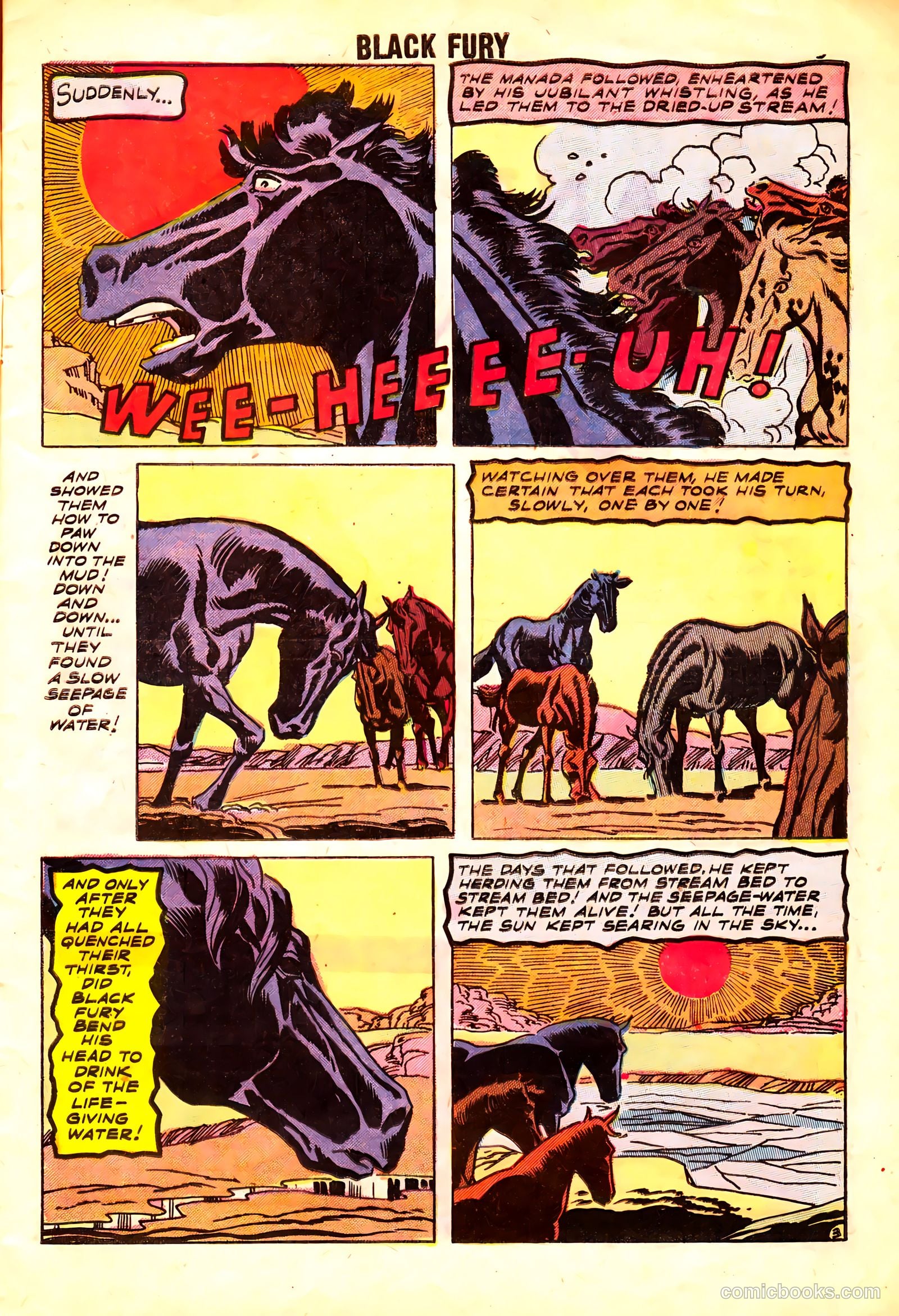 Black Fury #15 (1958) — page 5 of 36