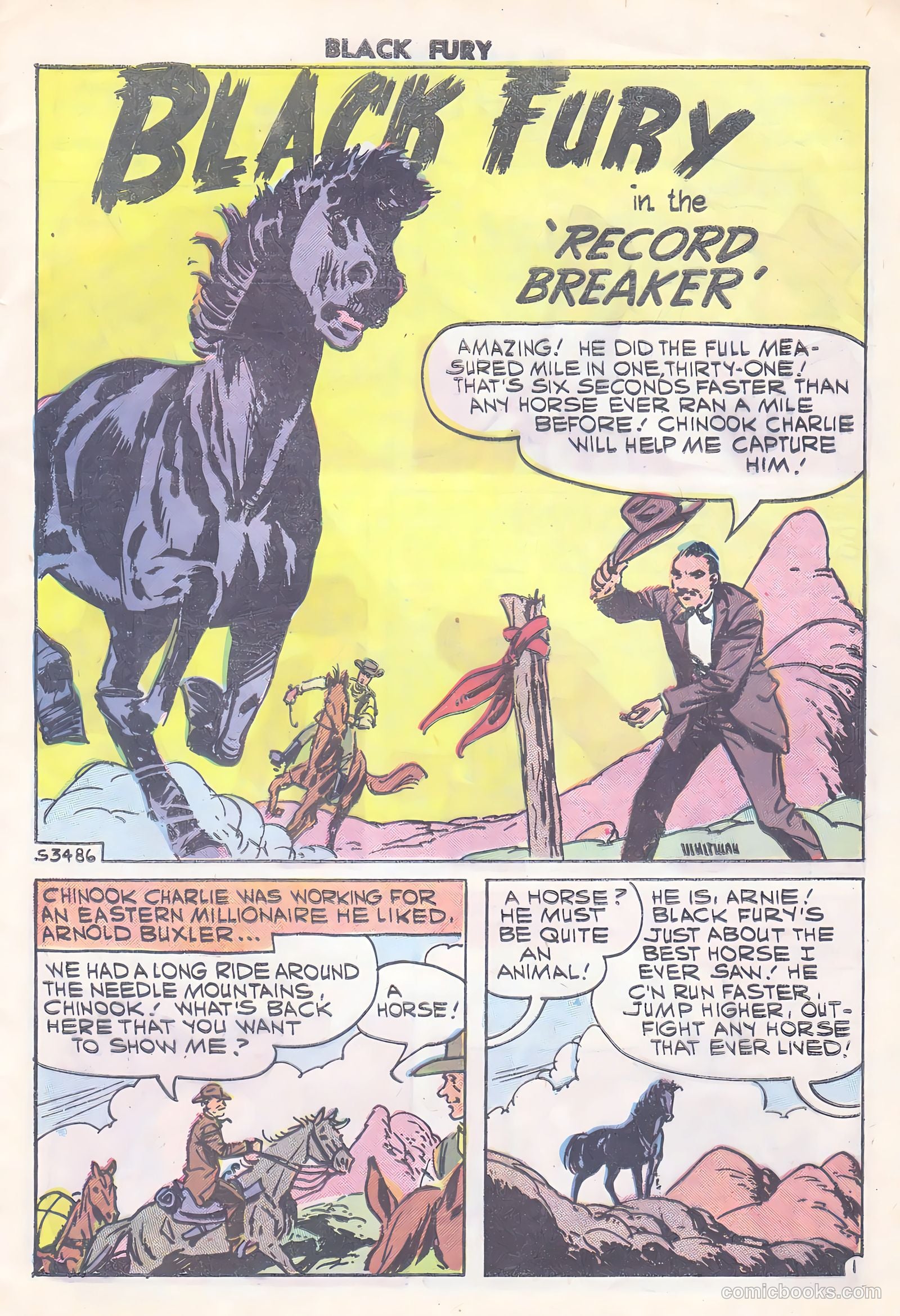 Black Fury #15 (1958) — page 9 of 36