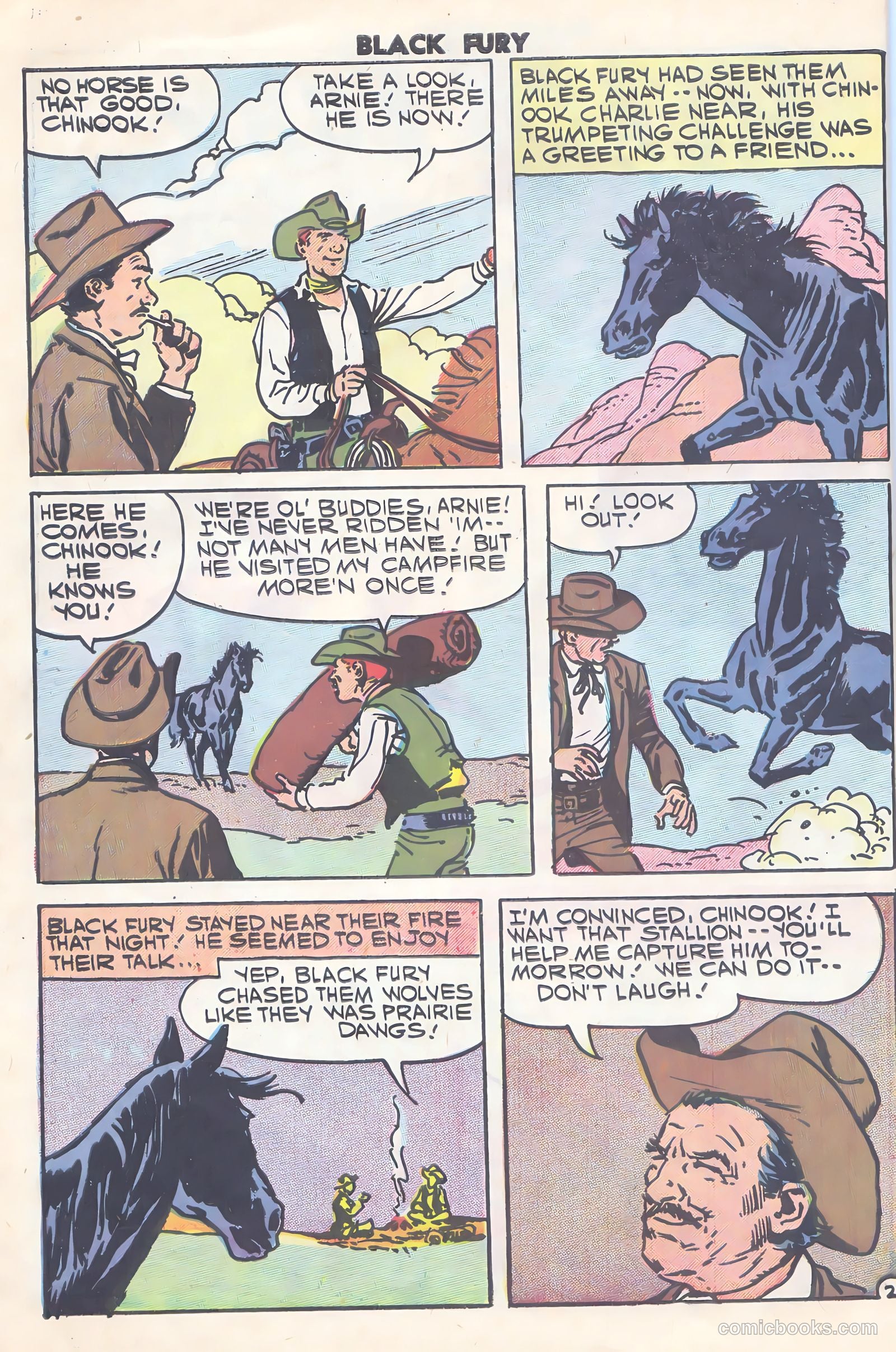 Black Fury #15 (1958) — page 10 of 36