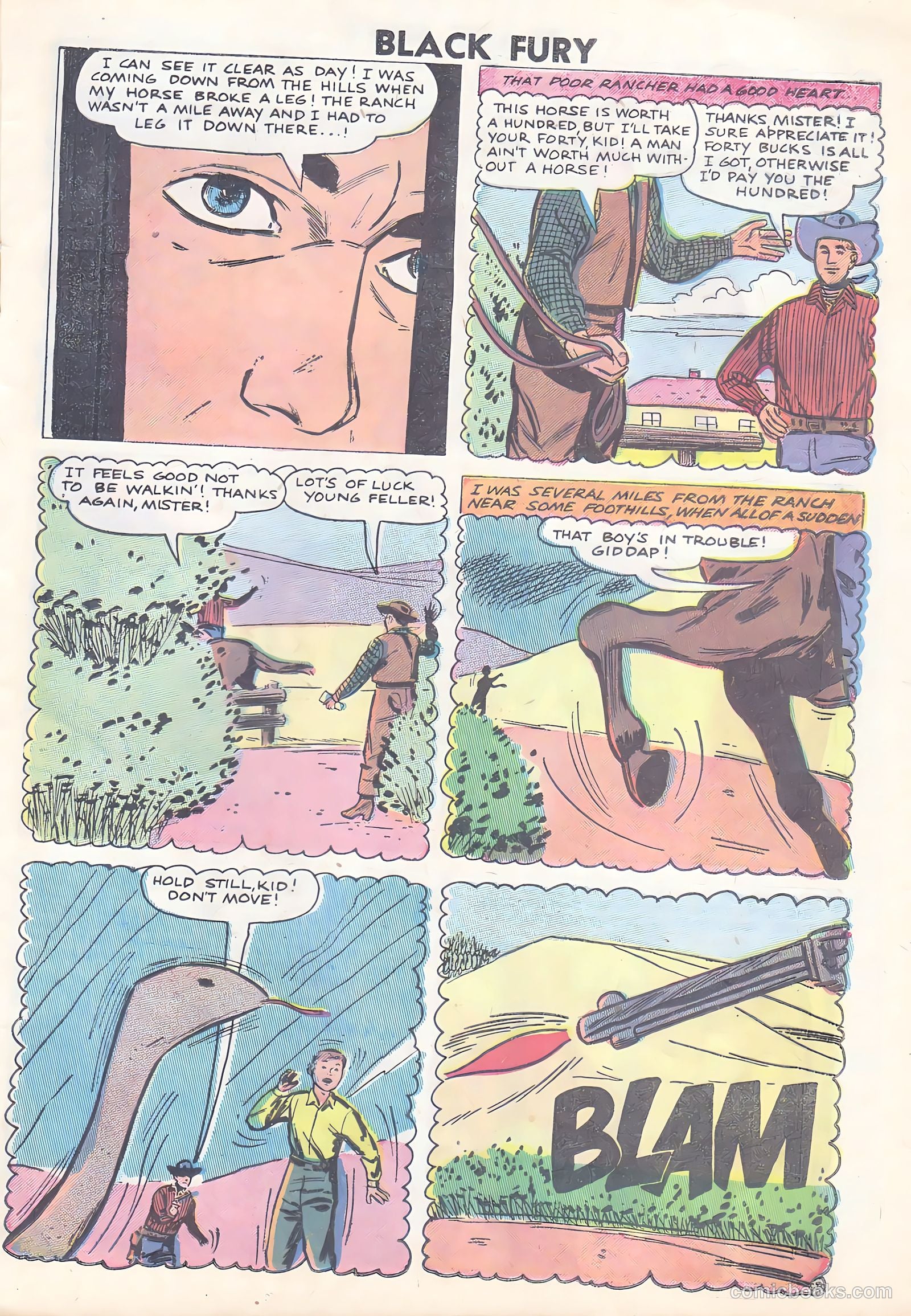 Black Fury #15 (1958) — page 25 of 36