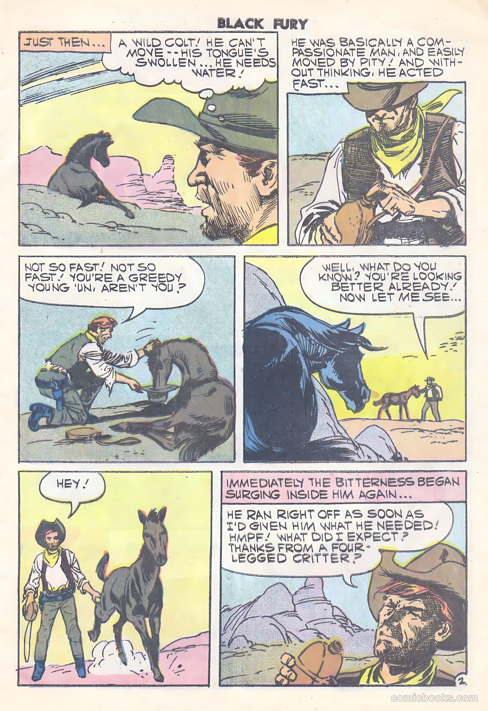 Black Fury #15 (1958) — page 29 of 36