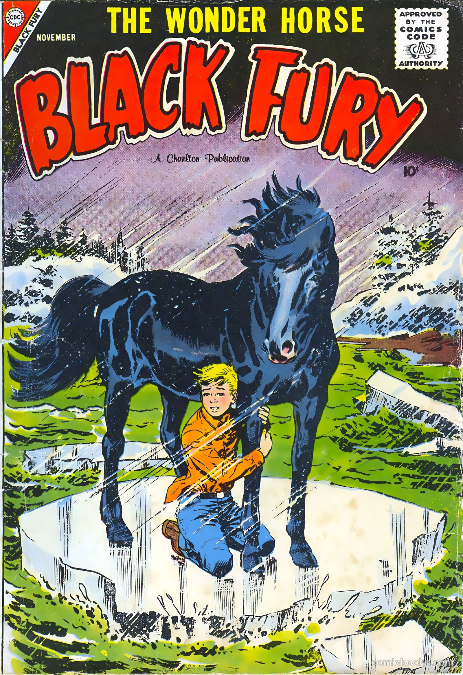 Black Fury #16