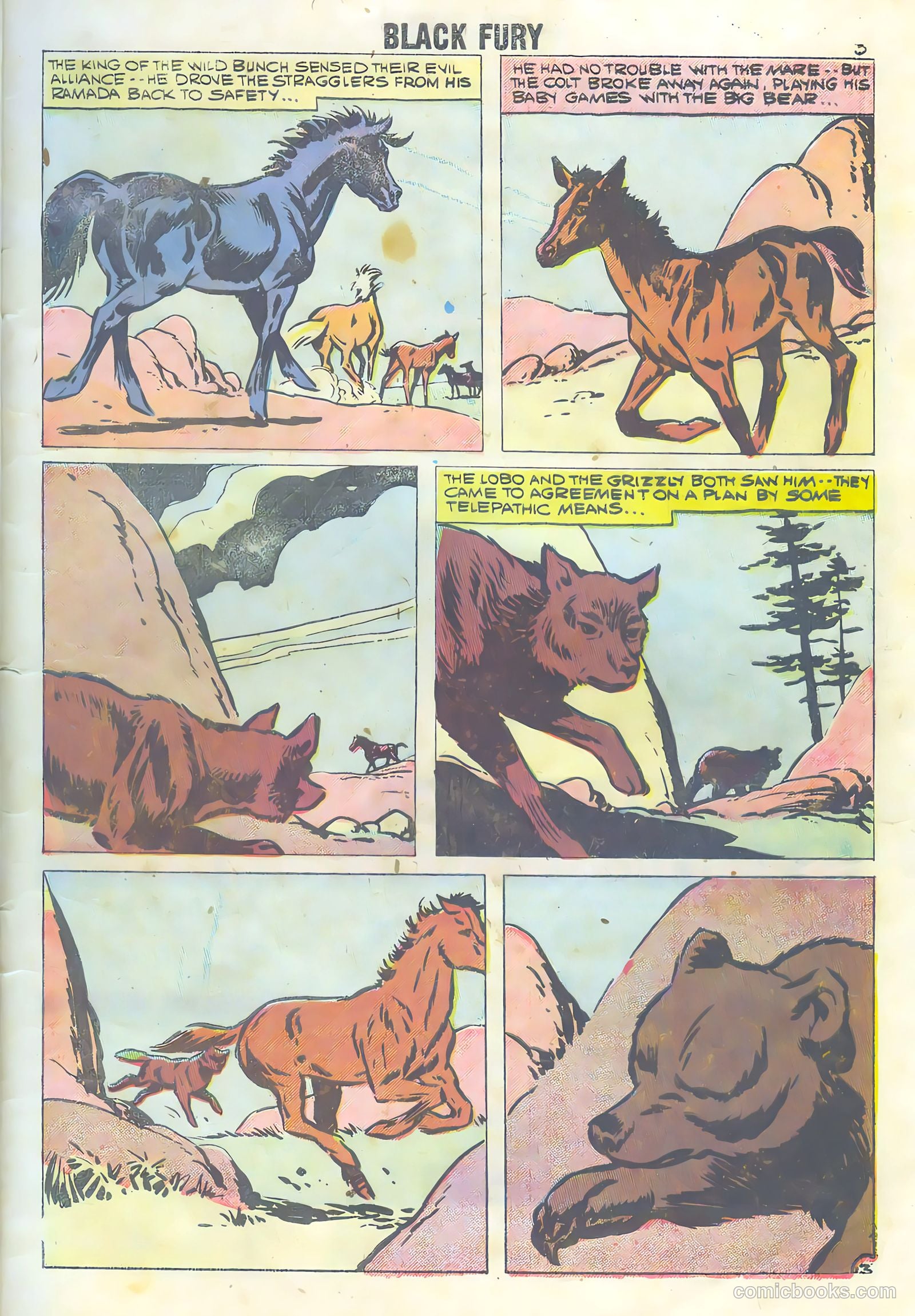 Black Fury #16 (1958) — page 5 of 36