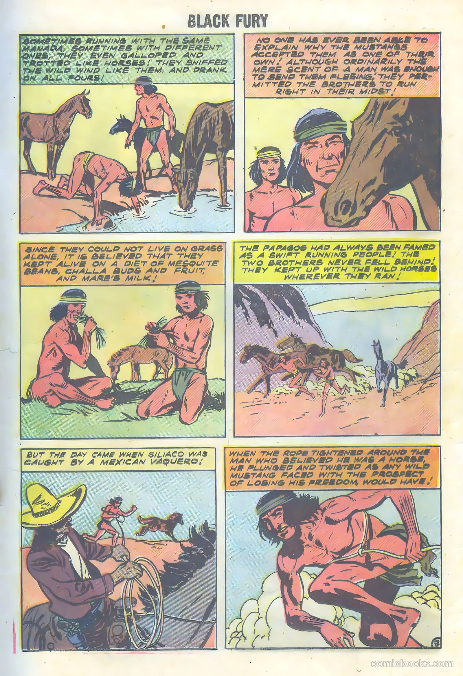 Black Fury #16 (1958) — page 17 of 36