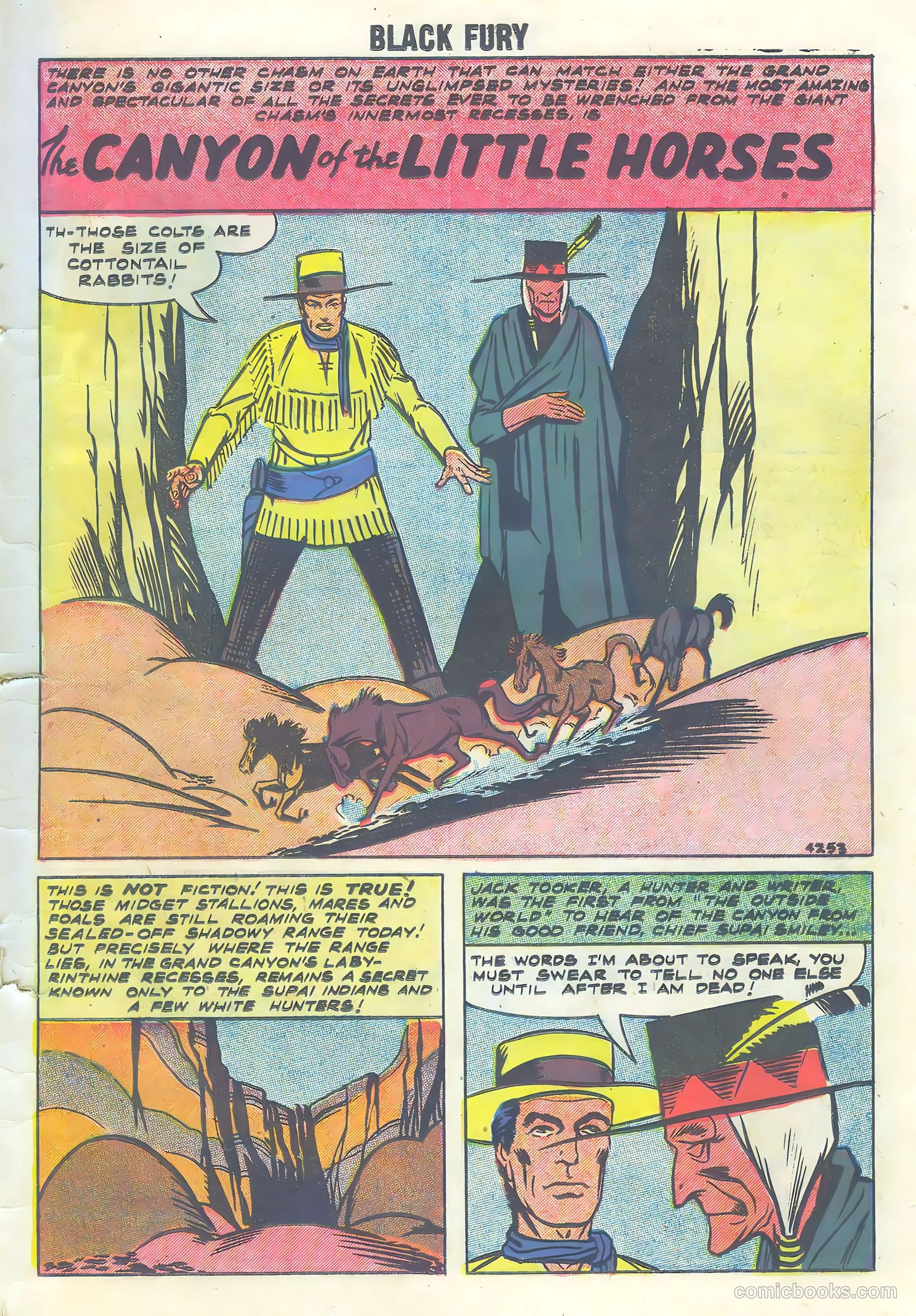Black Fury #16 (1958) — page 23 of 36