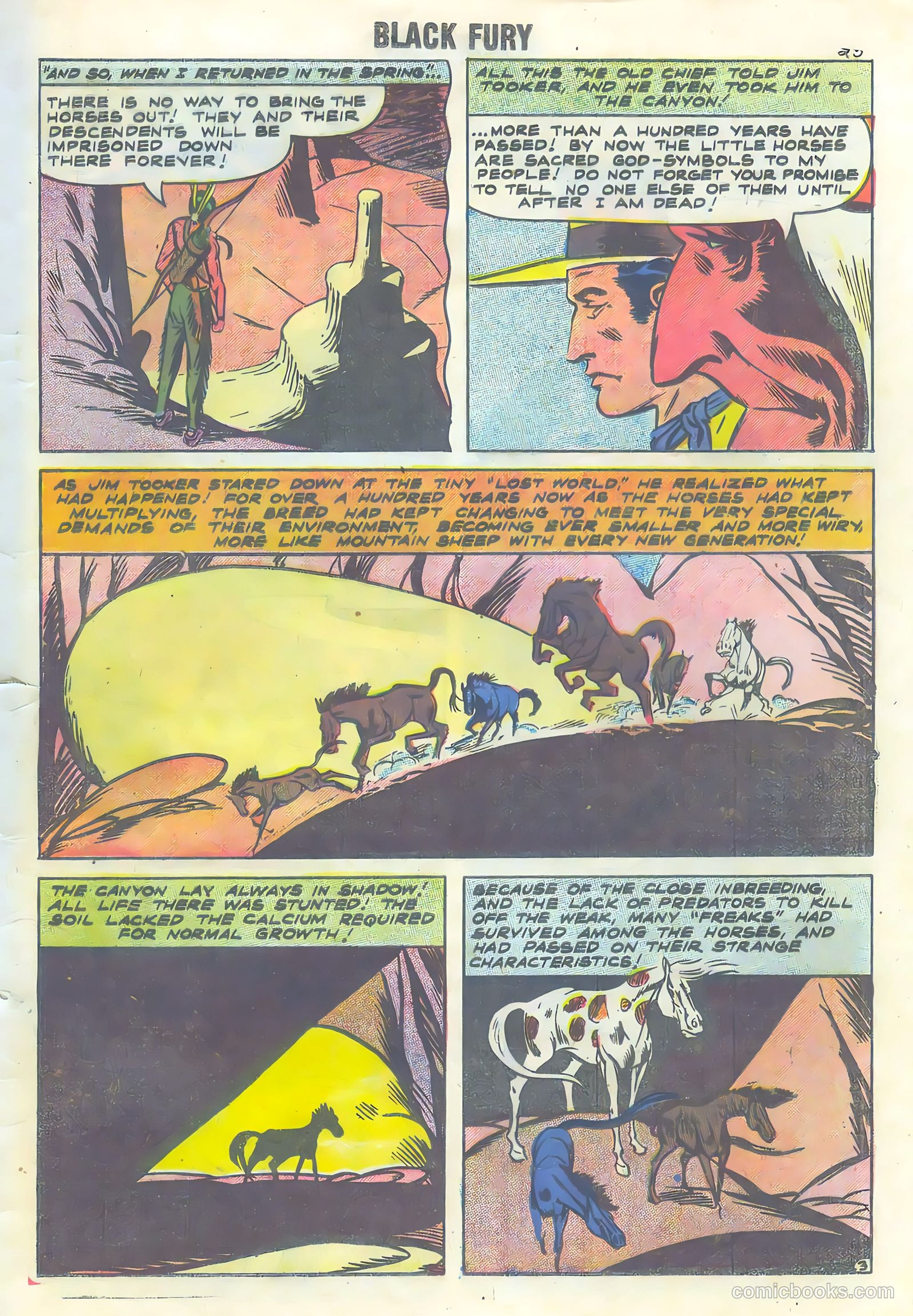 Black Fury #16 (1958) — page 25 of 36