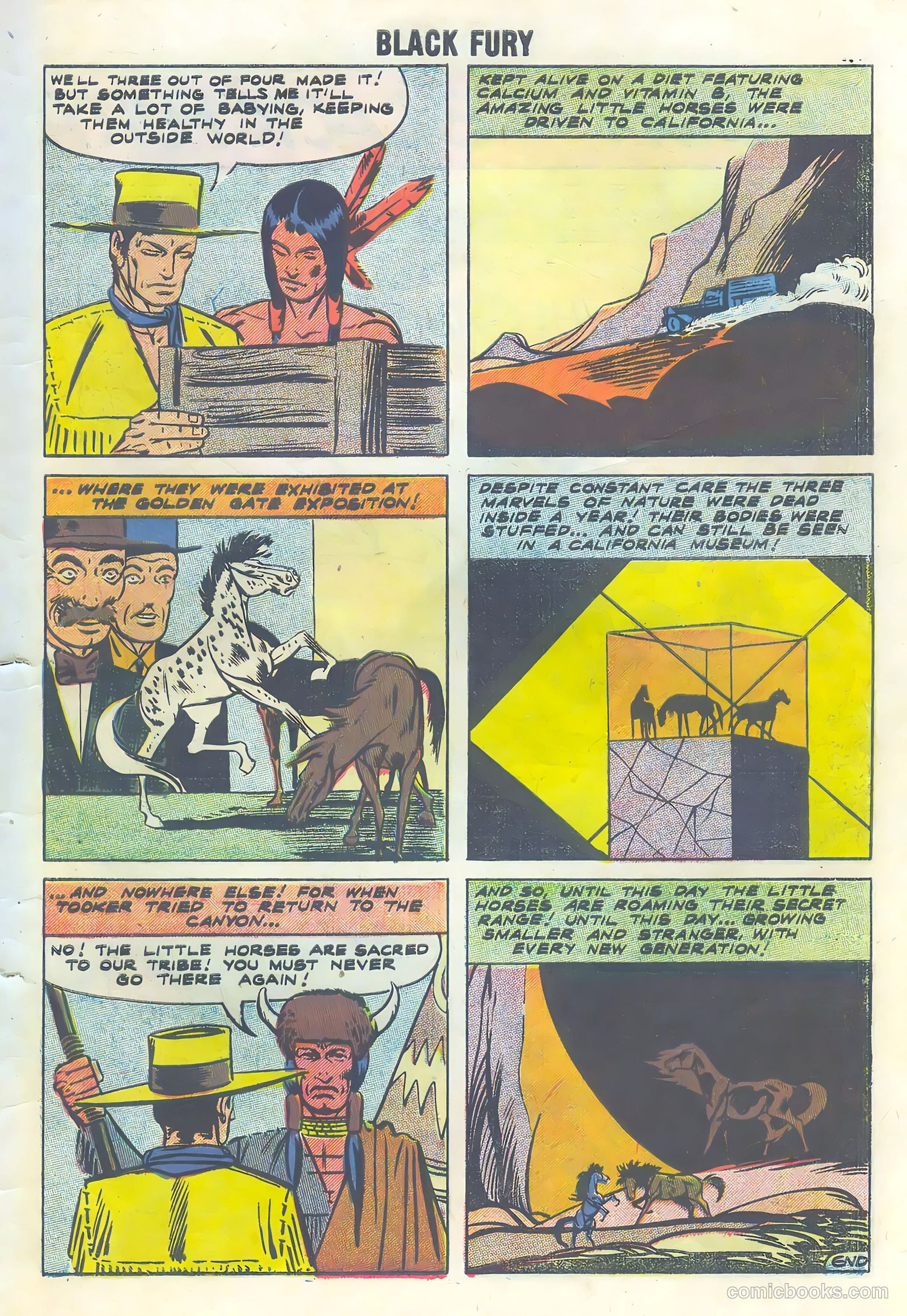 Black Fury #16 (1958) — page 27 of 36