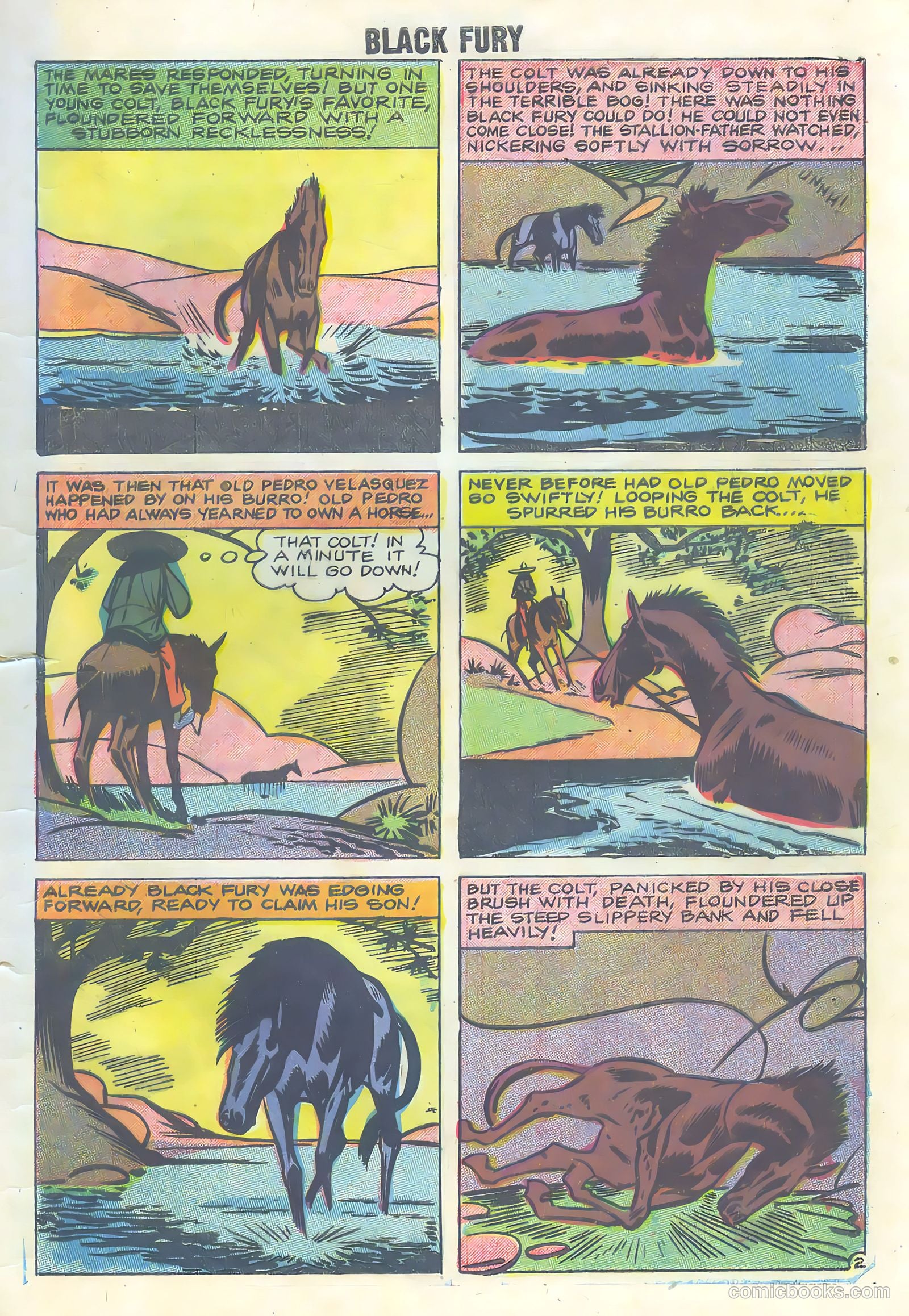 Black Fury #16 (1958) — page 29 of 36