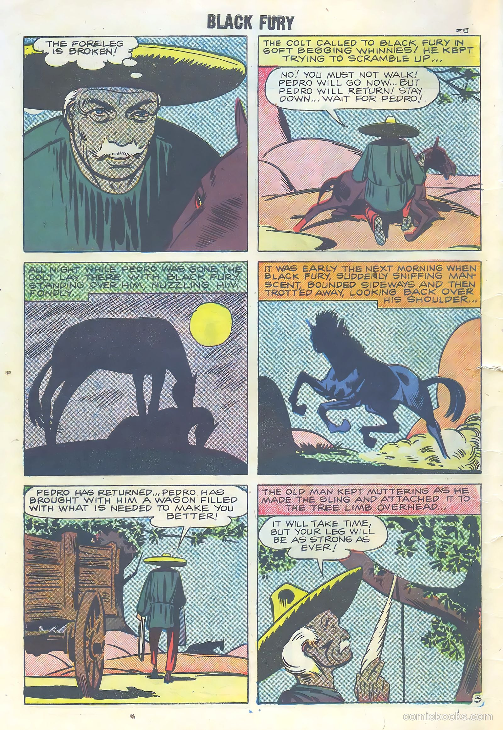 Black Fury #16 (1958) — page 30 of 36