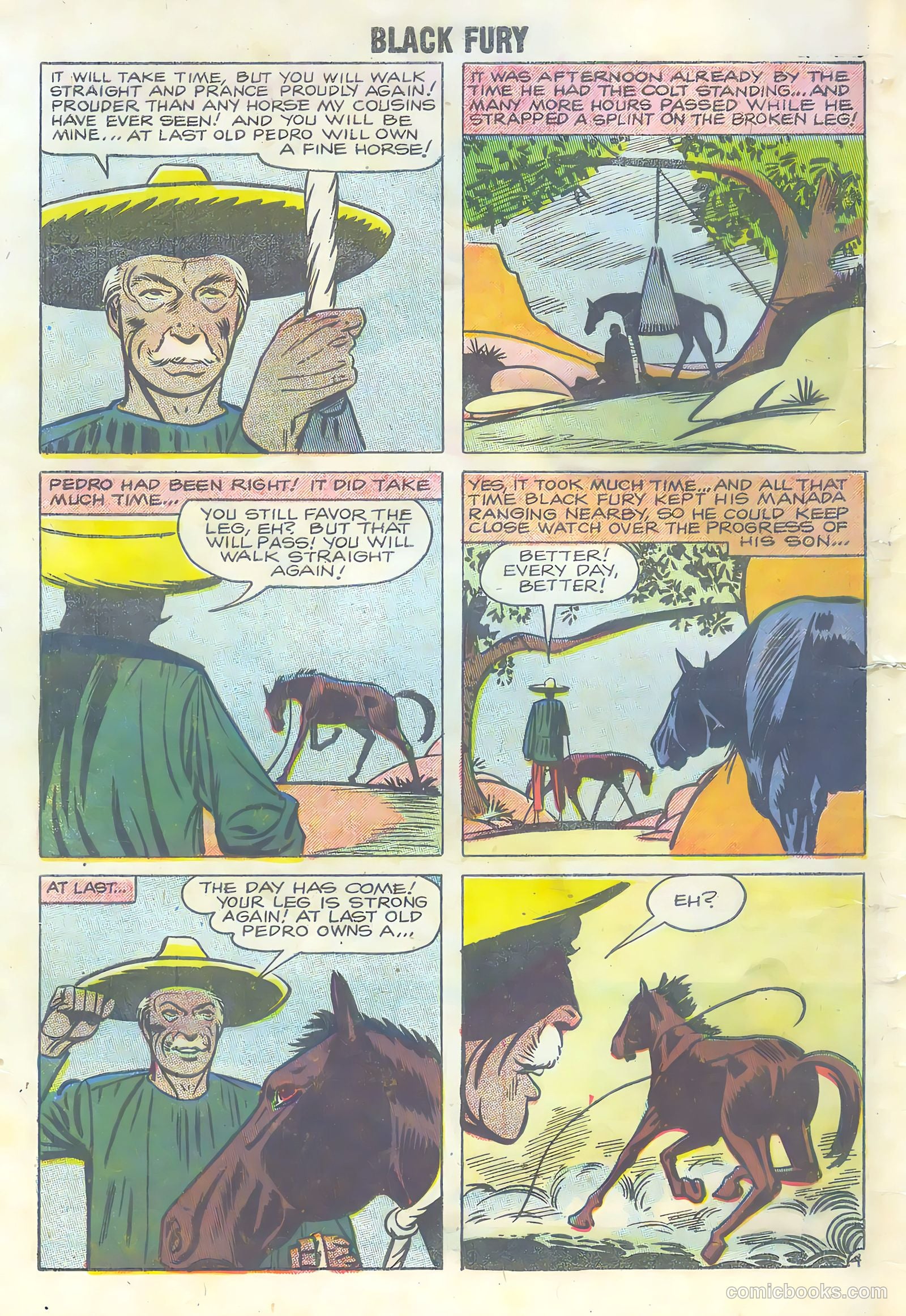 Black Fury #16 (1958) — page 32 of 36