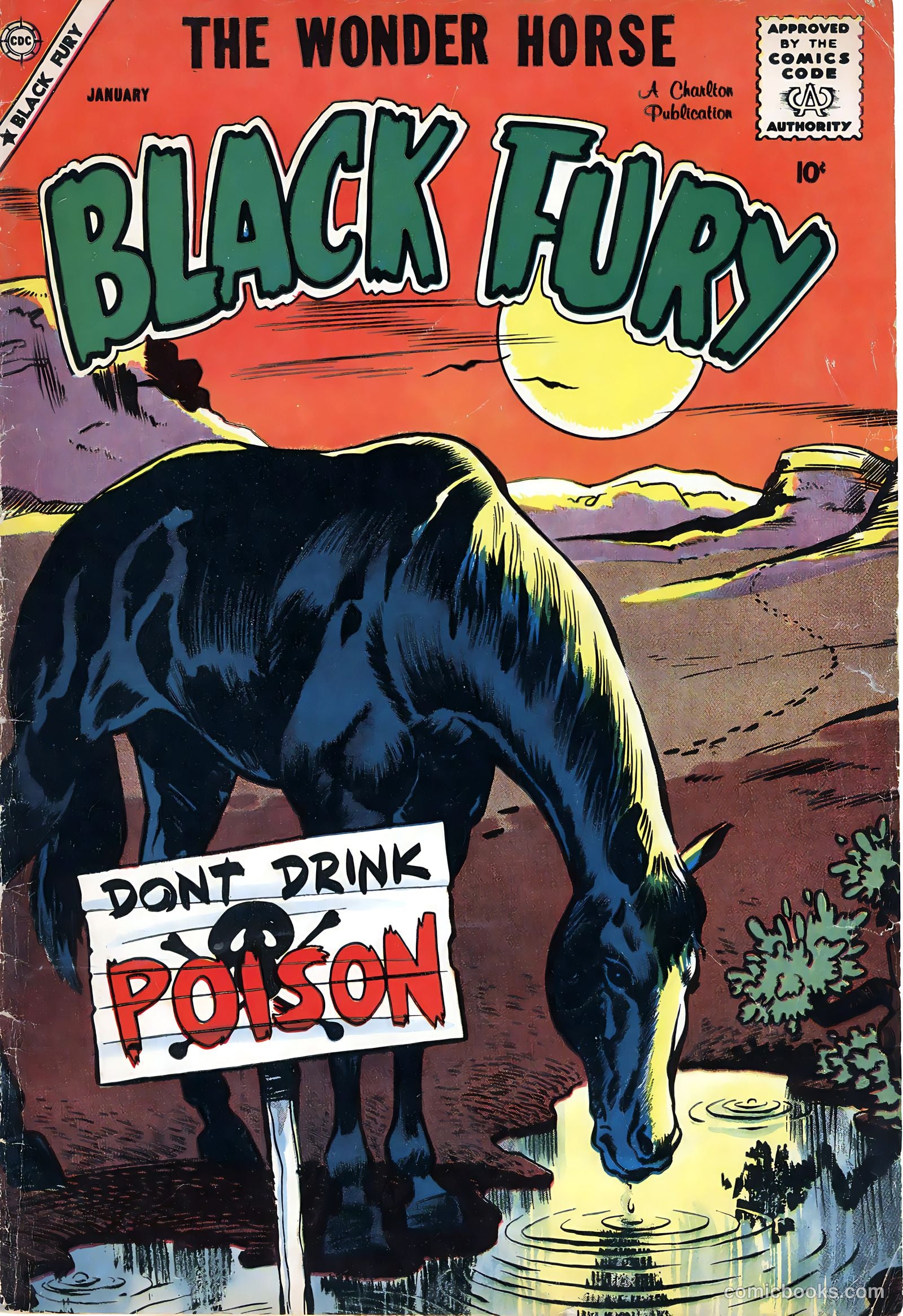 Black Fury #17