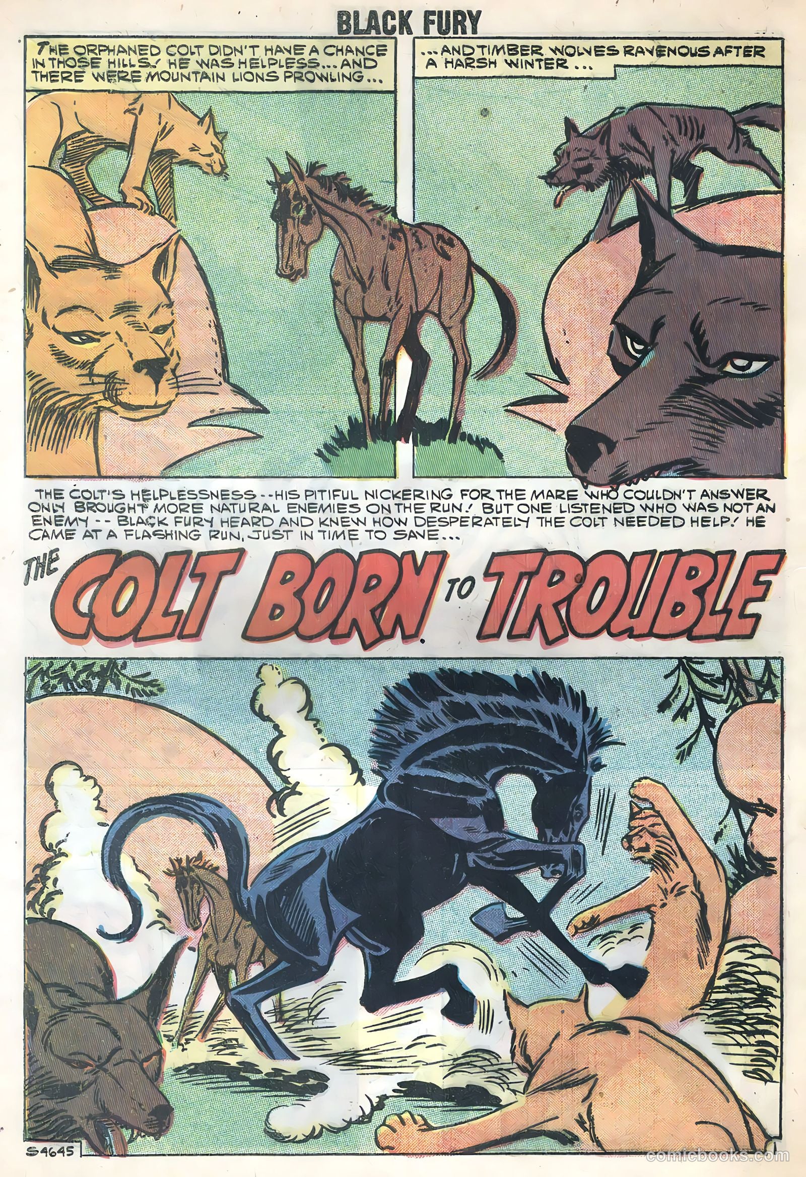 Black Fury #17 (1959) — page 28 of 36