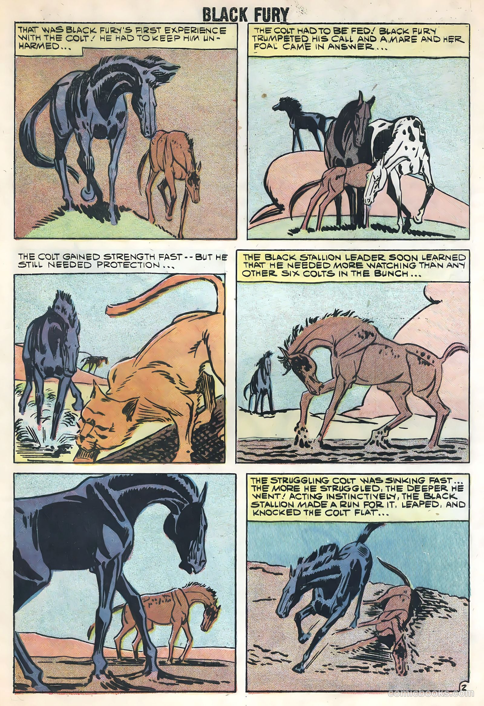 Black Fury #17 (1959) — page 29 of 36