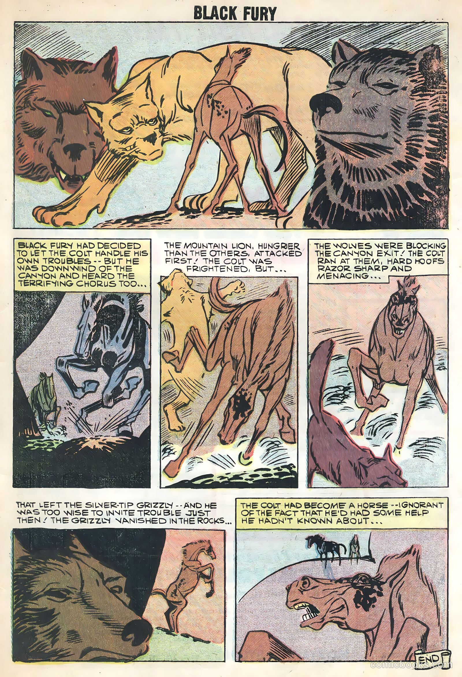 Black Fury #17 (1959) — page 33 of 36