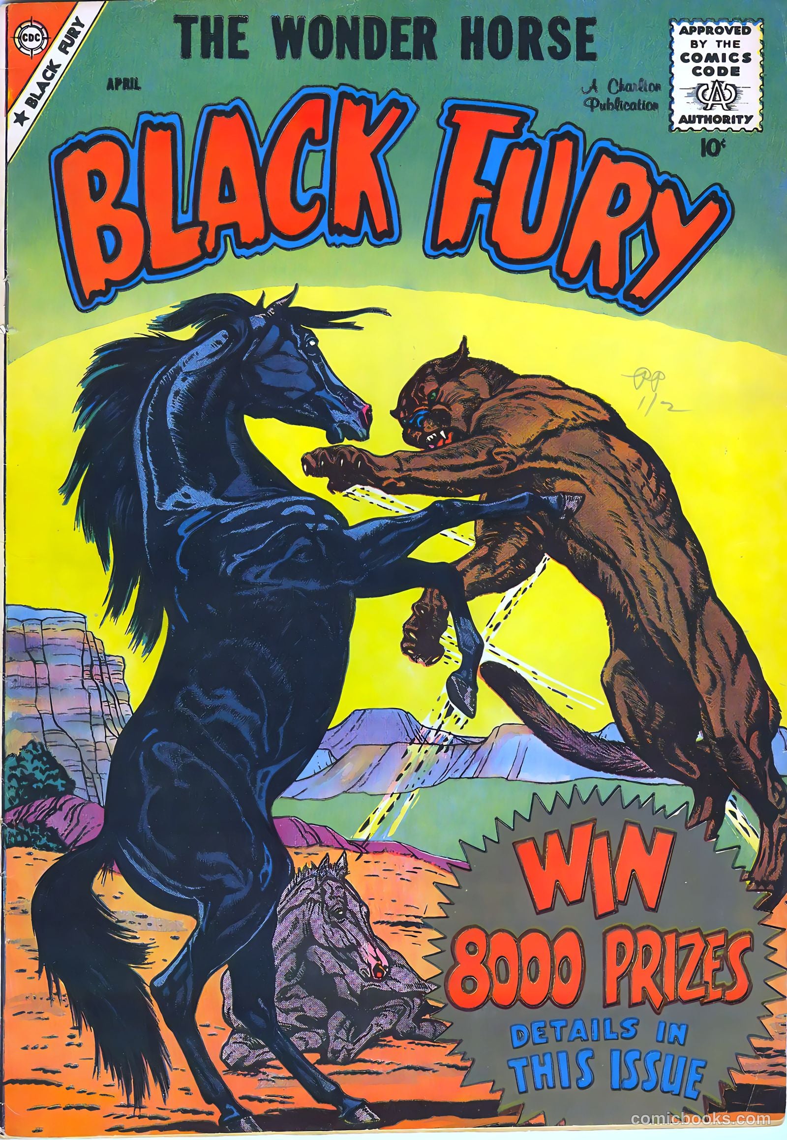 Black Fury #18