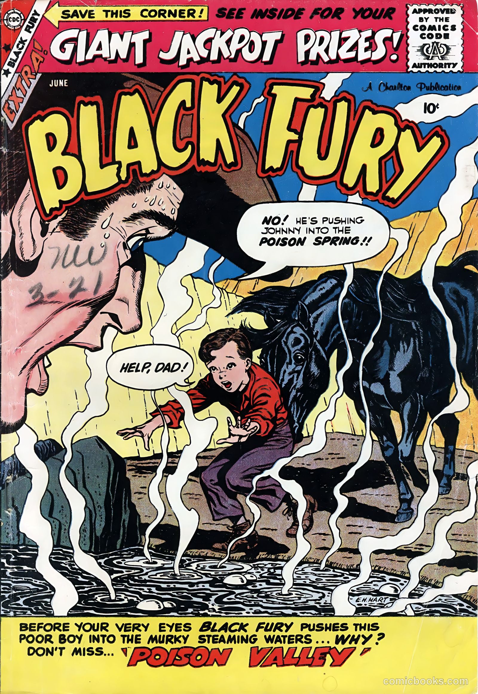 Black Fury #19