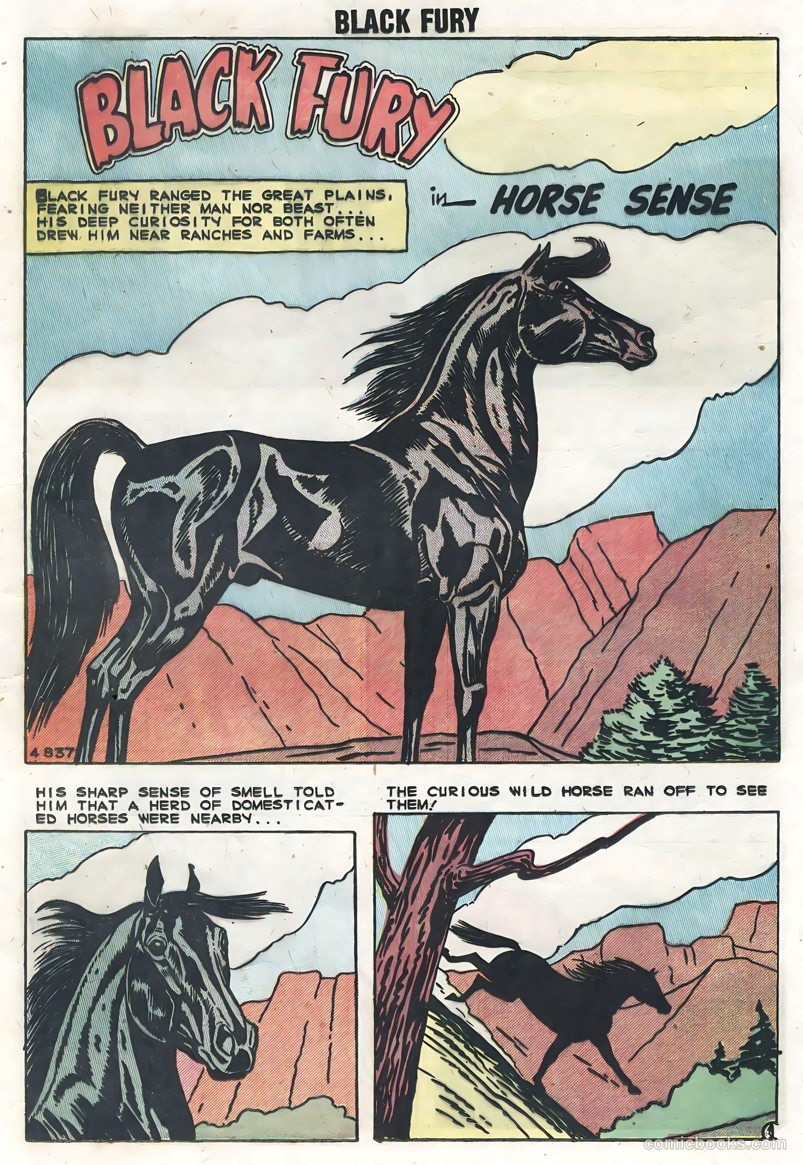 Black Fury #19 (1959) — page 13 of 36
