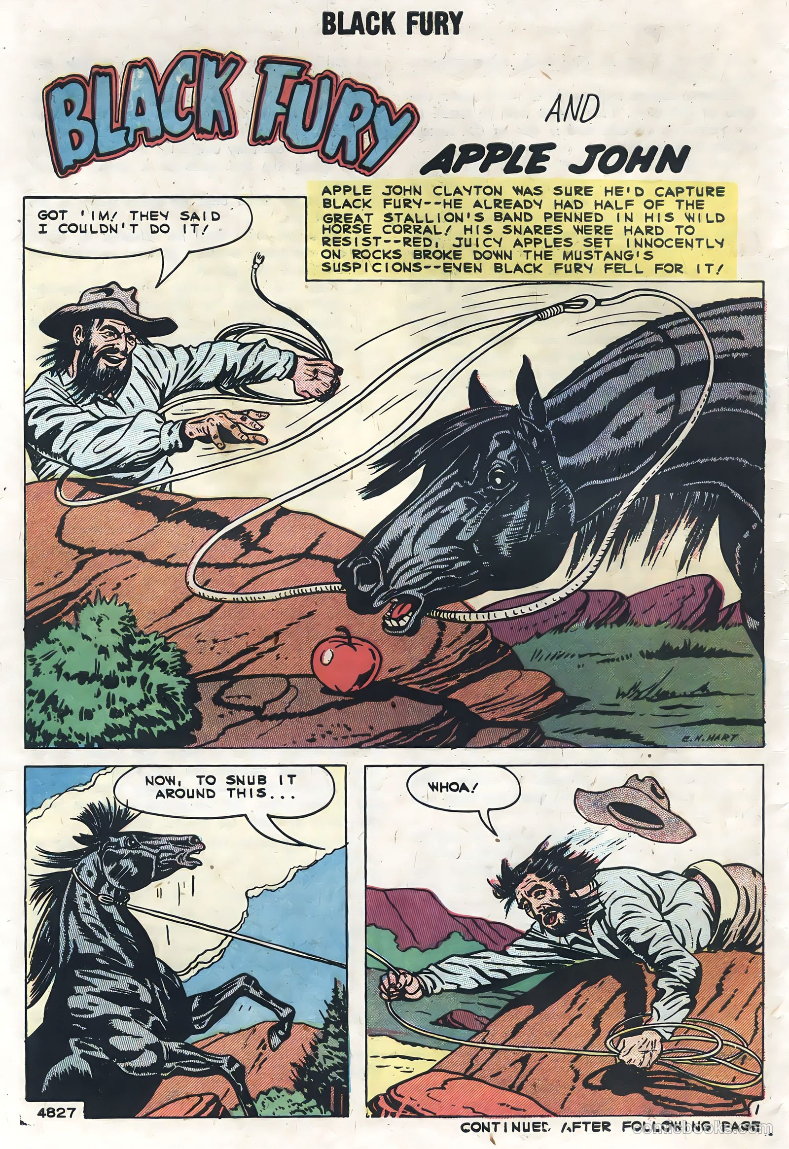 Black Fury #19 (1959) — page 30 of 36
