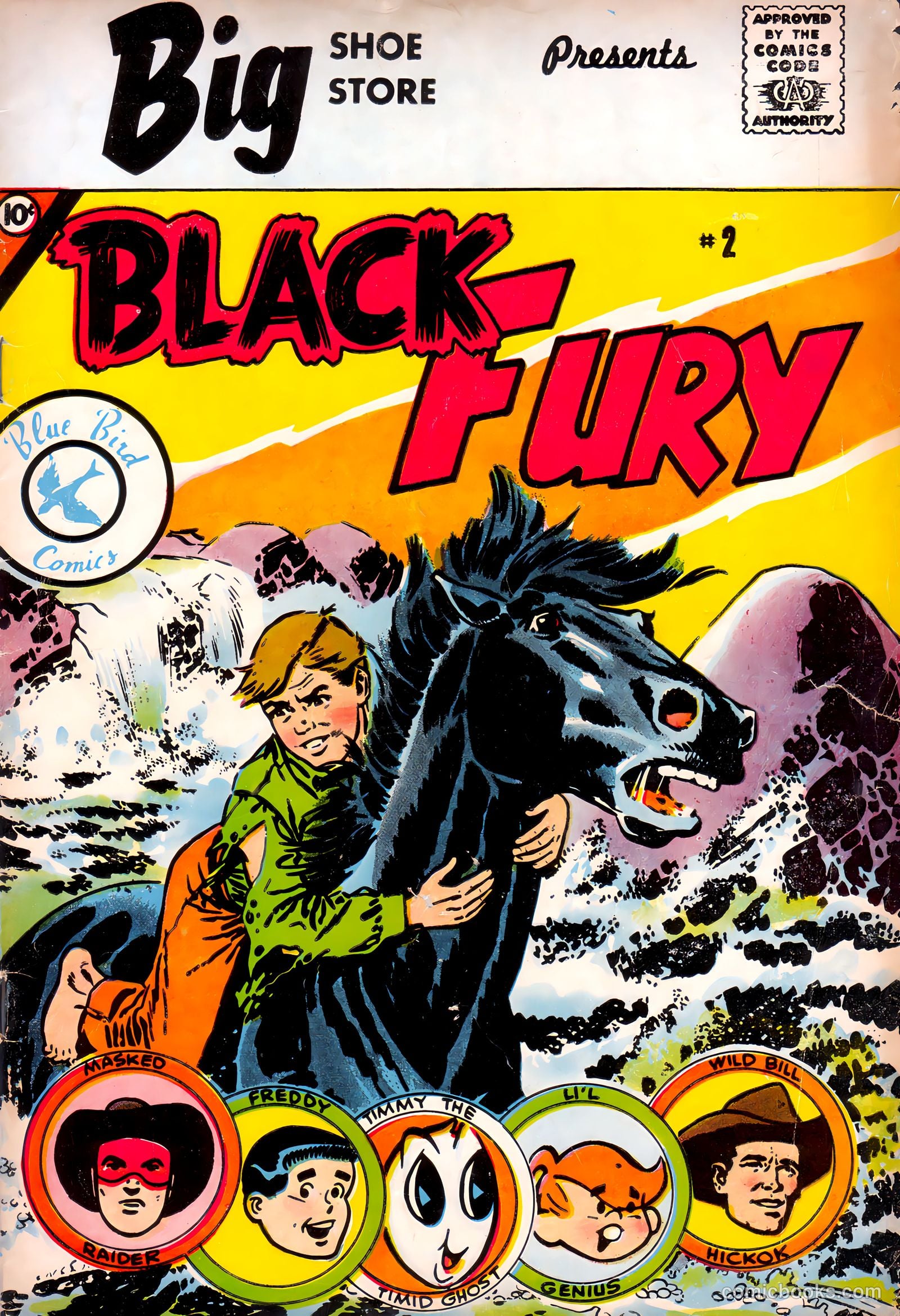 Black Fury #2