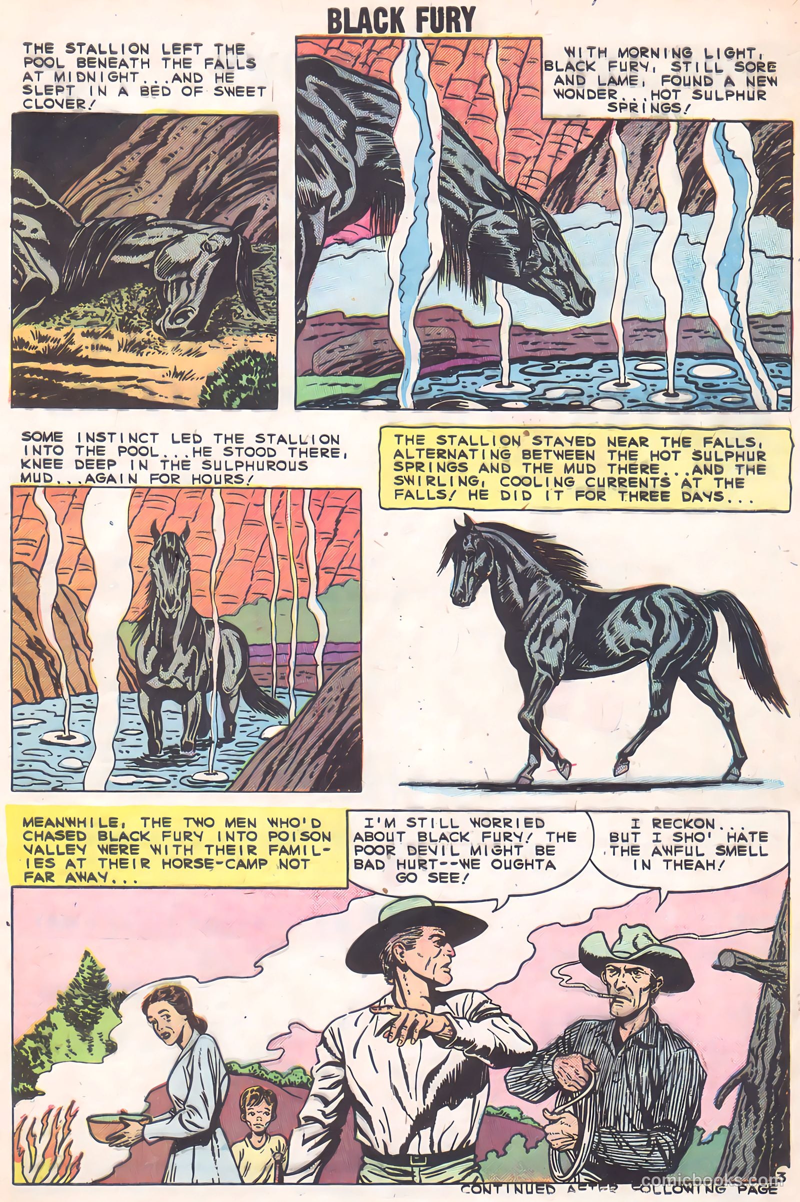 Black Fury #2 (1955) — page 5 of 36
