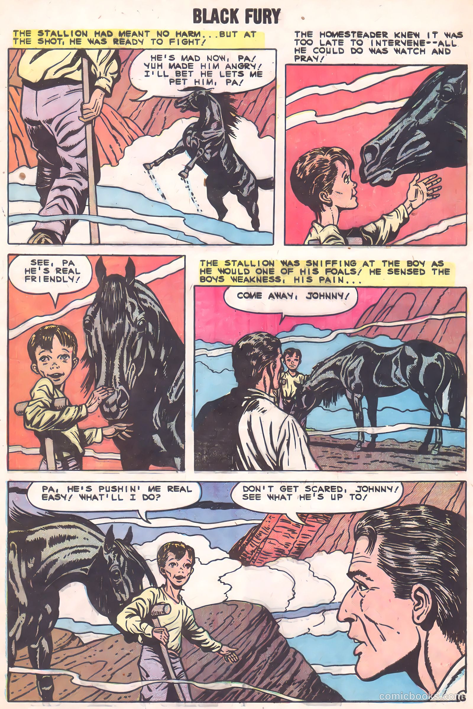 Black Fury #2 (1955) — page 9 of 36